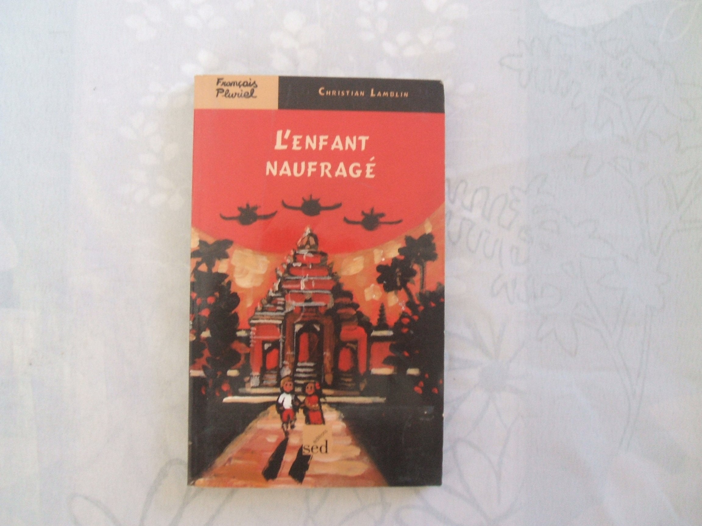 L'enfant naufragé 9782868936776