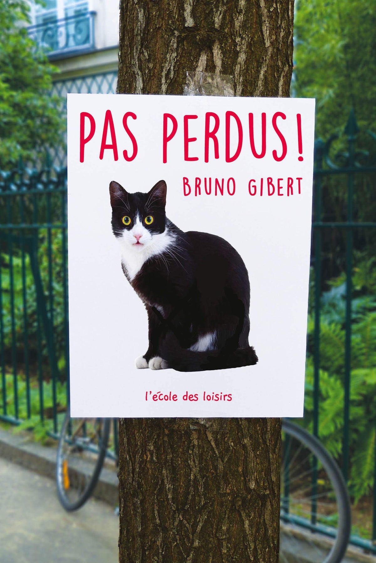 PAS PERDUS! 9782211304481