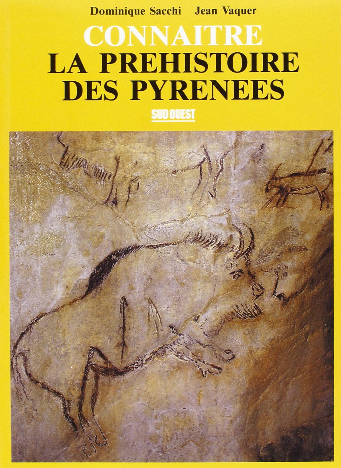 Connaitre la prehistoire des pyrenees 9782879011196