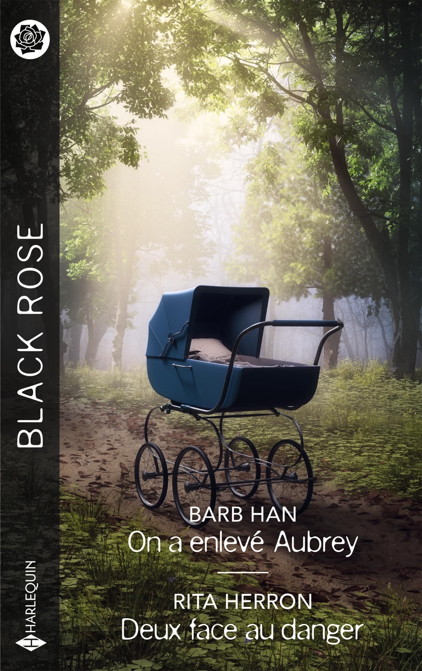 On a enlevé Aubrey - Deux face au danger 9782280514705