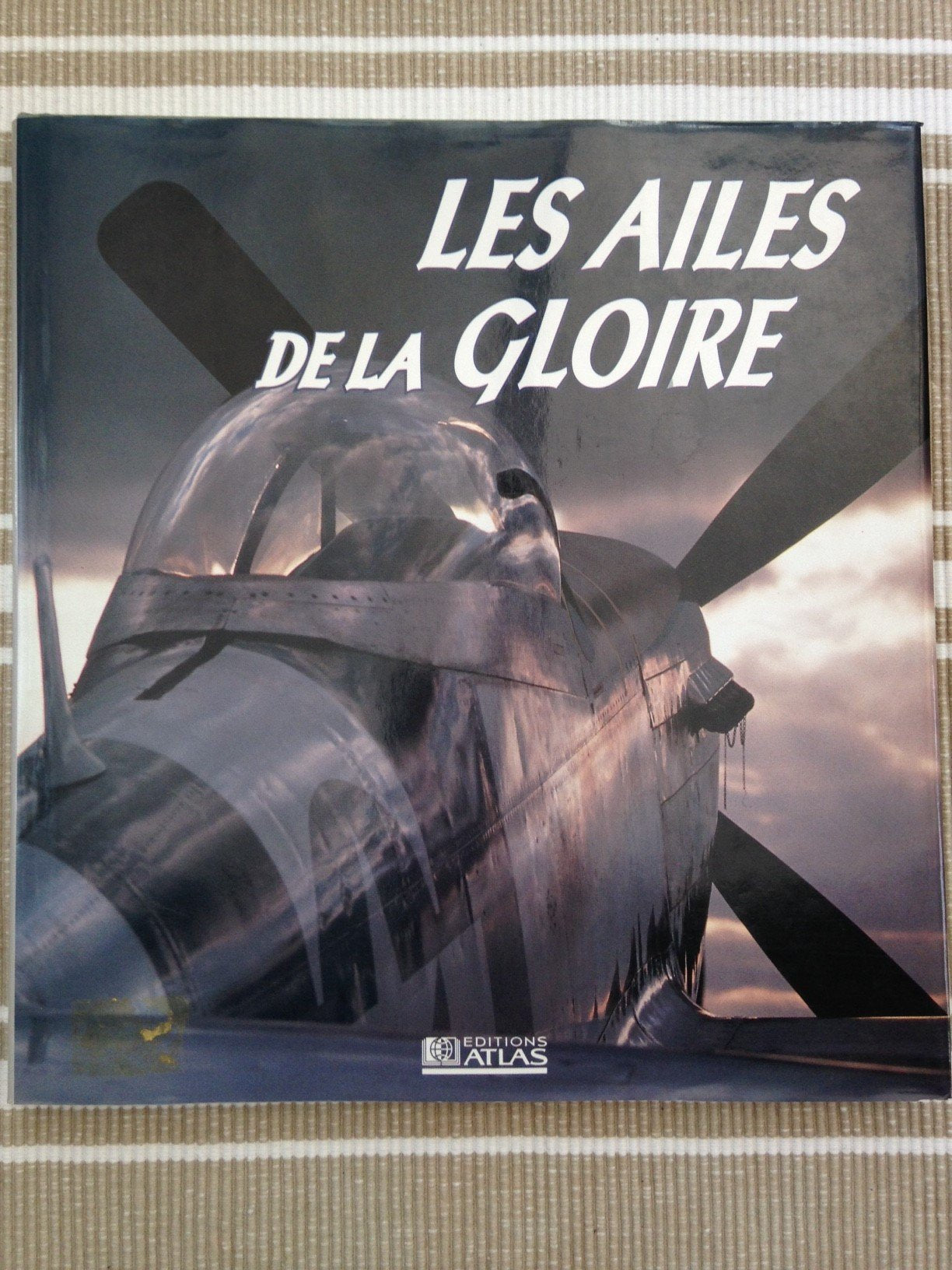 Les Ailes De La Gloire. Les Avions De La Seconde Guerre Mondiale 9782731214369