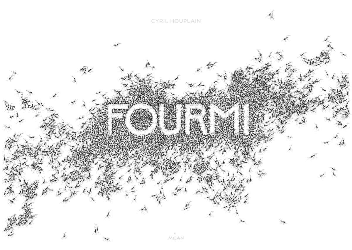 Fourmi 9782745984739