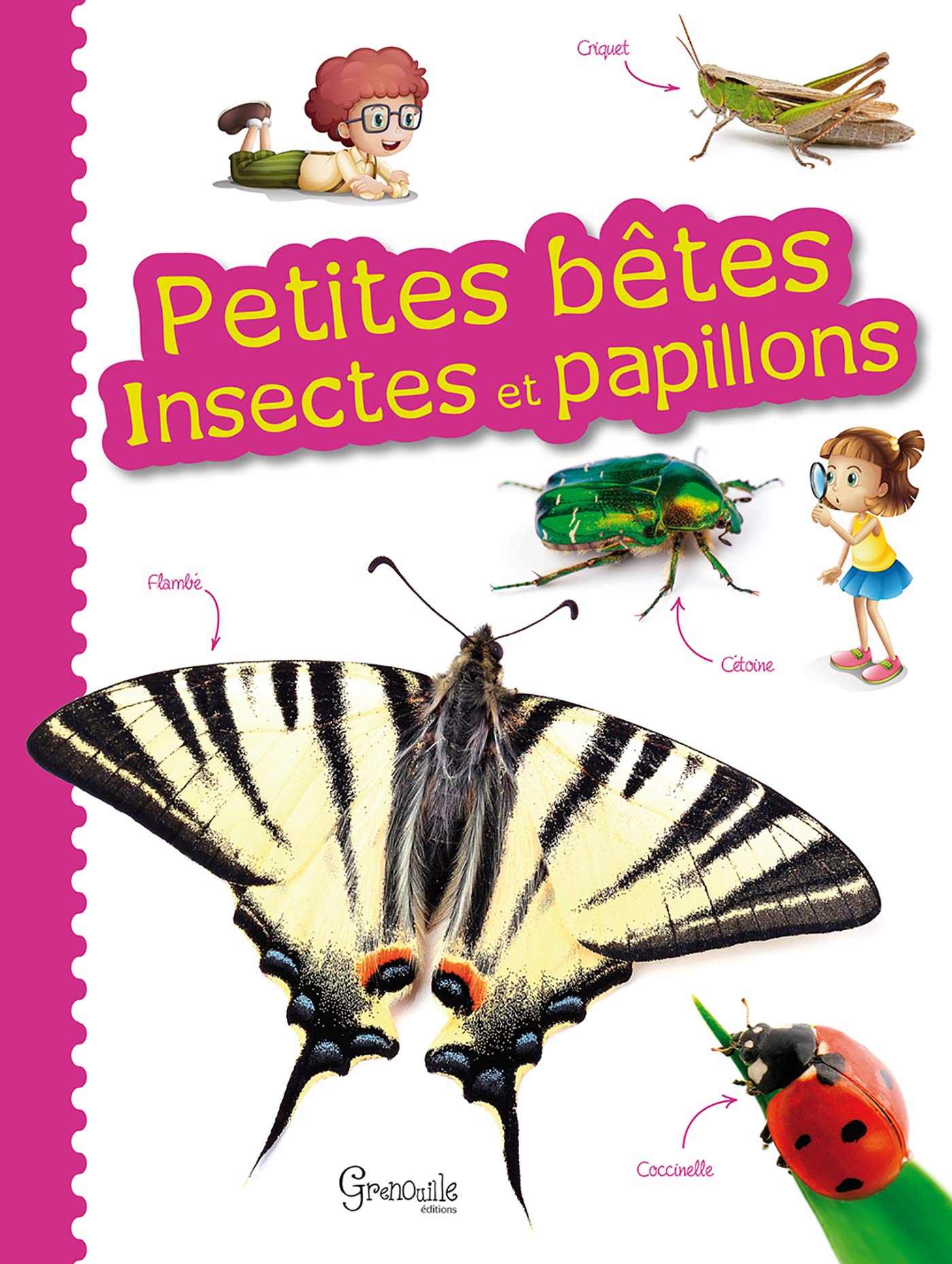 Petites bêtes, insectes et papillons 9782366532531