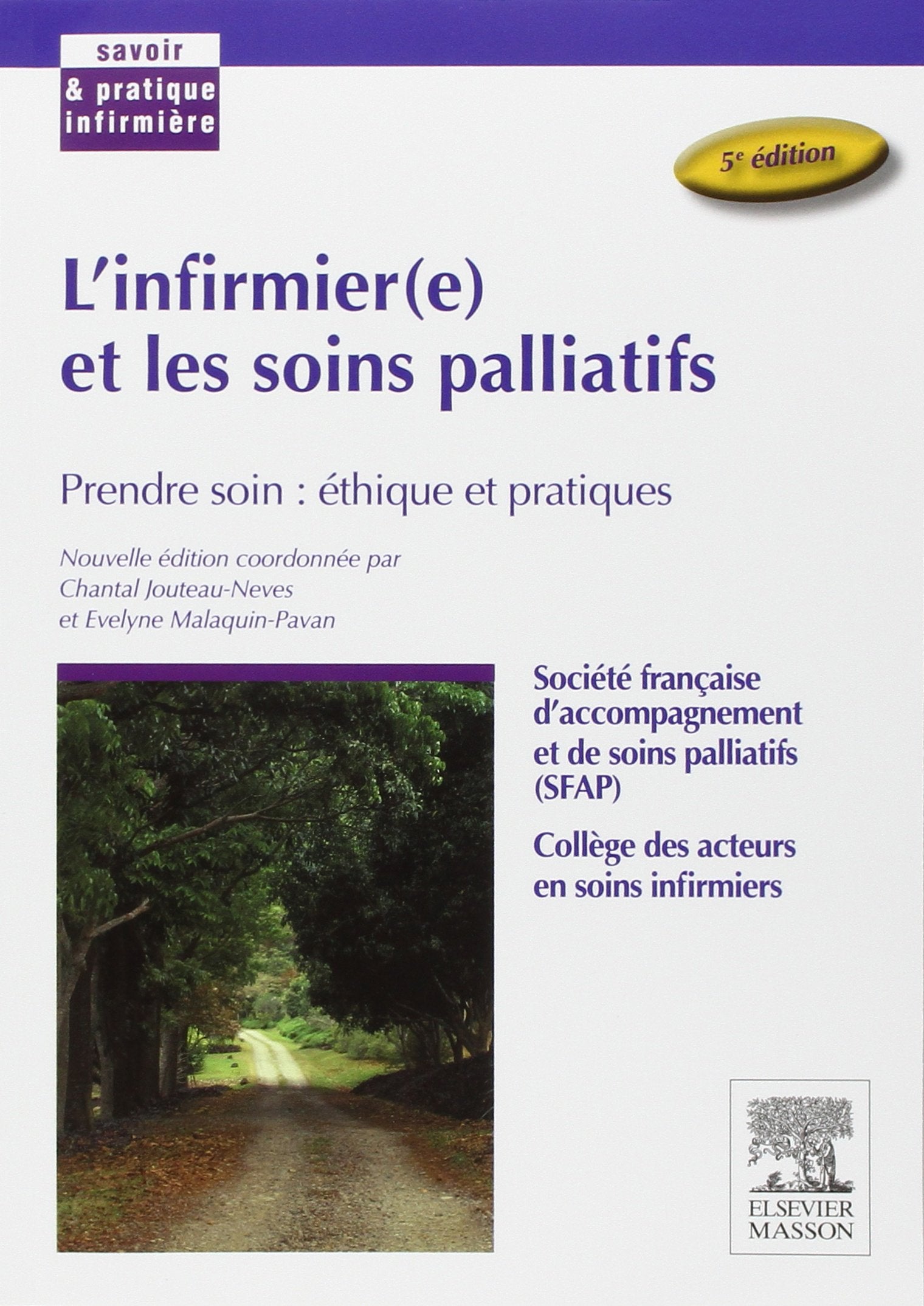 L'infirmier(e) et les soins palliatifs: Prendre soin : éthique et pratiques 9782294738302