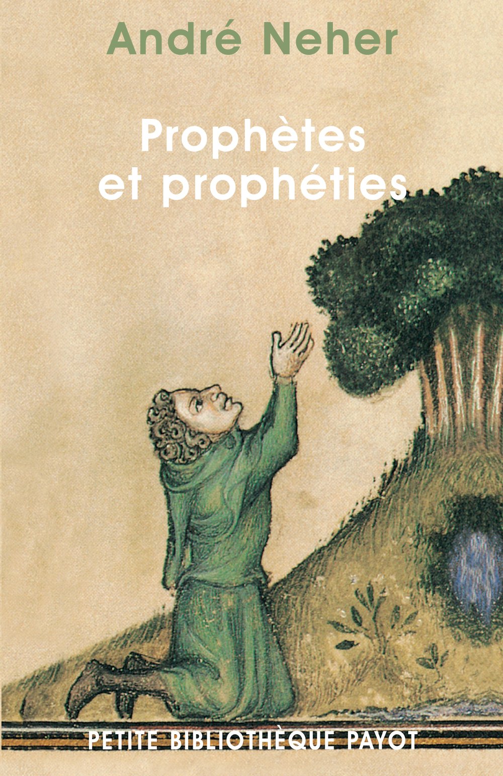 Prophètes et prophéties 9782228898348
