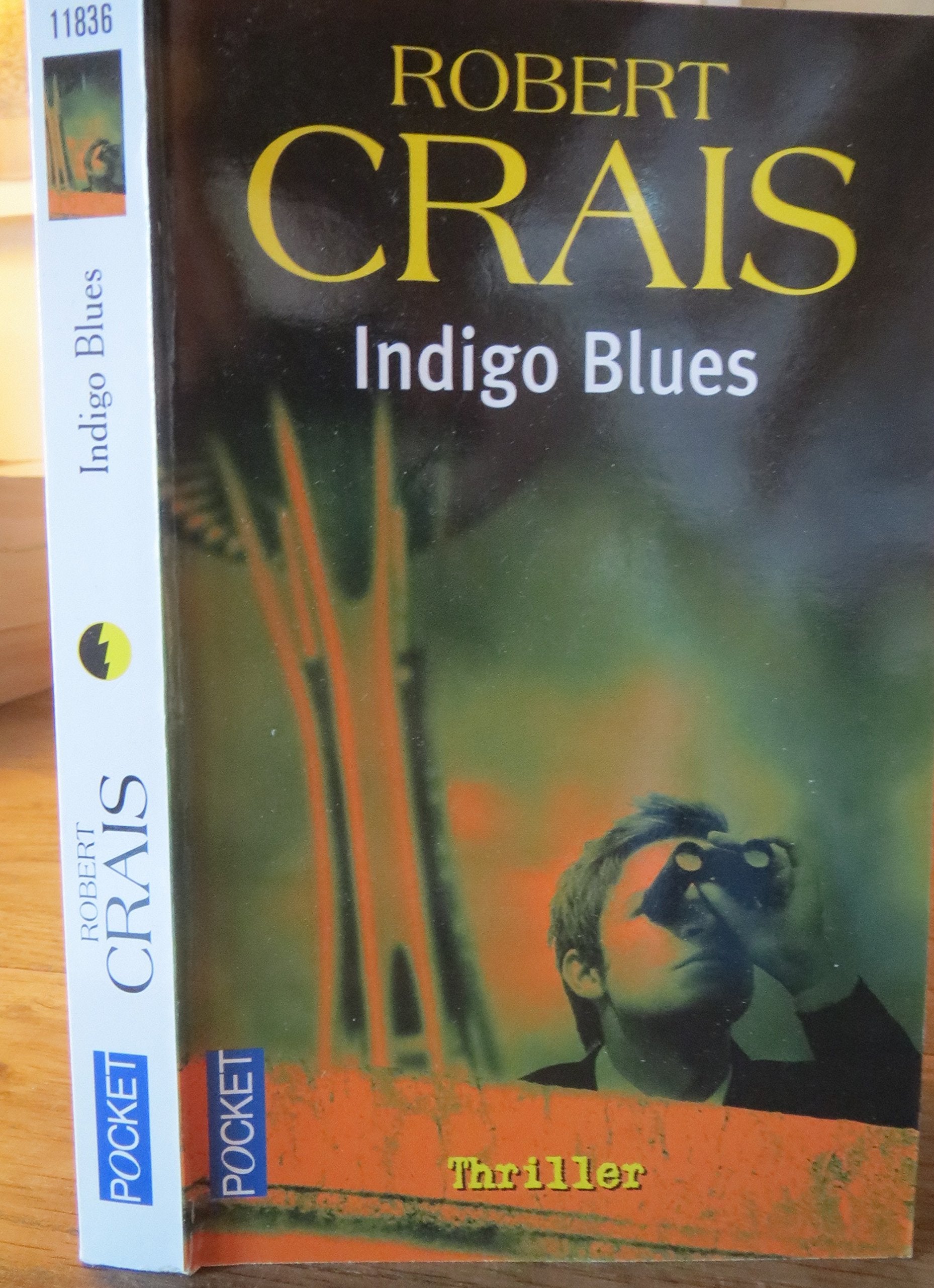 Indigo blues 9782266173124
