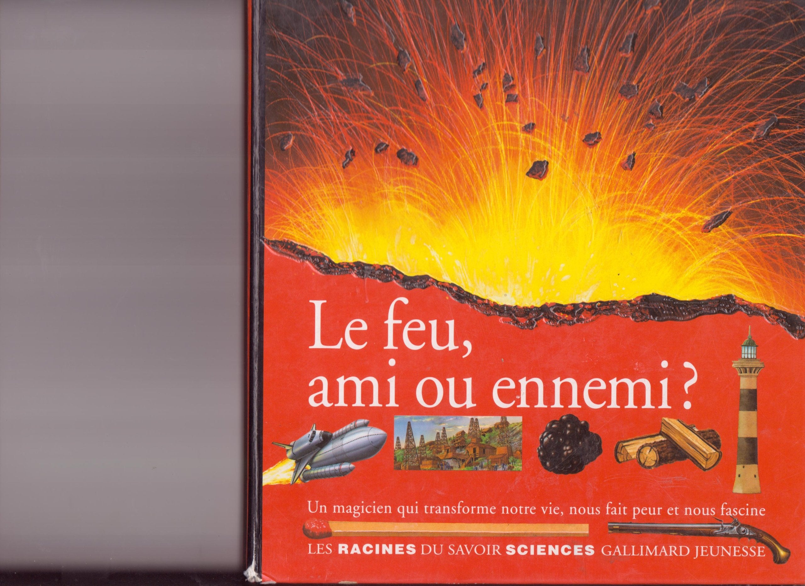 Le feu, ami ou ennemi ?: Un magicien qui transforme notre vie, nous fait peur et nous fascine 9782070568314