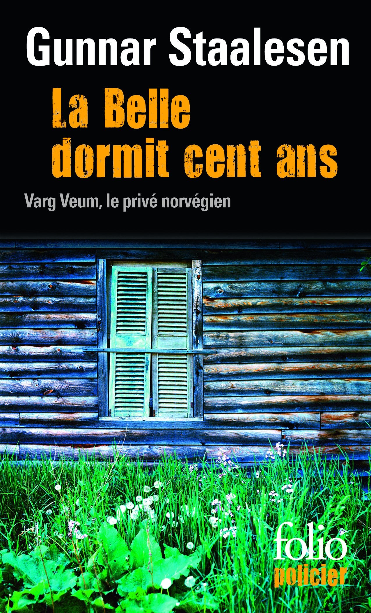 La Belle dormit cent ans: Une enquête de Varg Veum, le privé norvégien 9782070310951