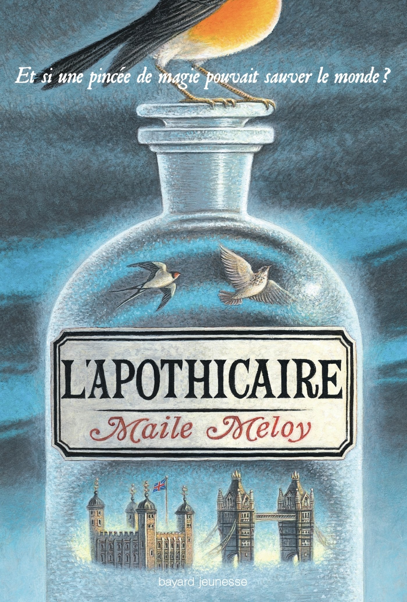 L'apothicaire 9782747046992