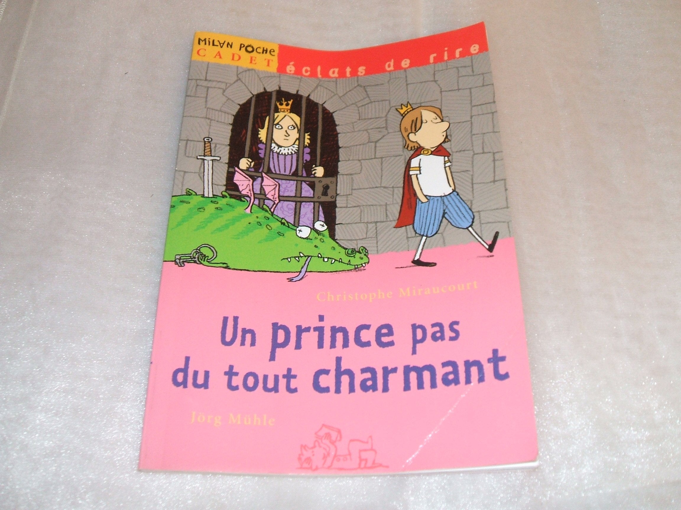 Un prince pas du tout charmant 9782745913784