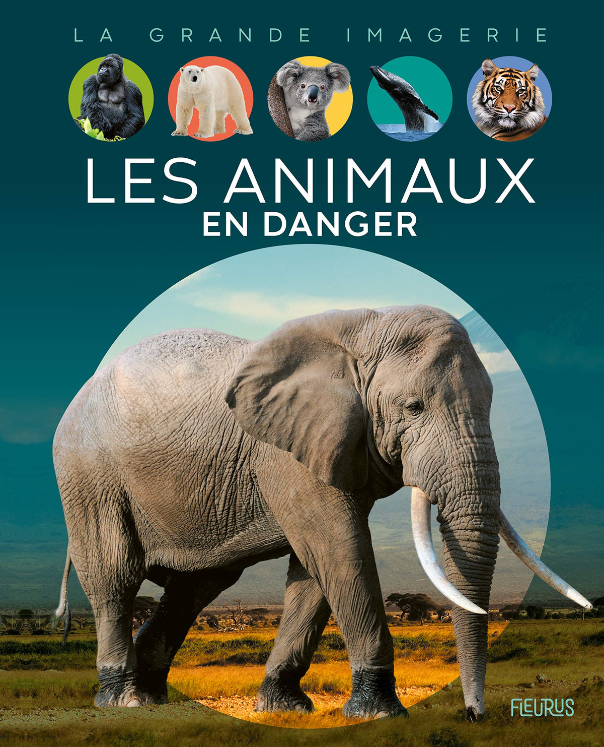 Les animaux en danger 9782215176466
