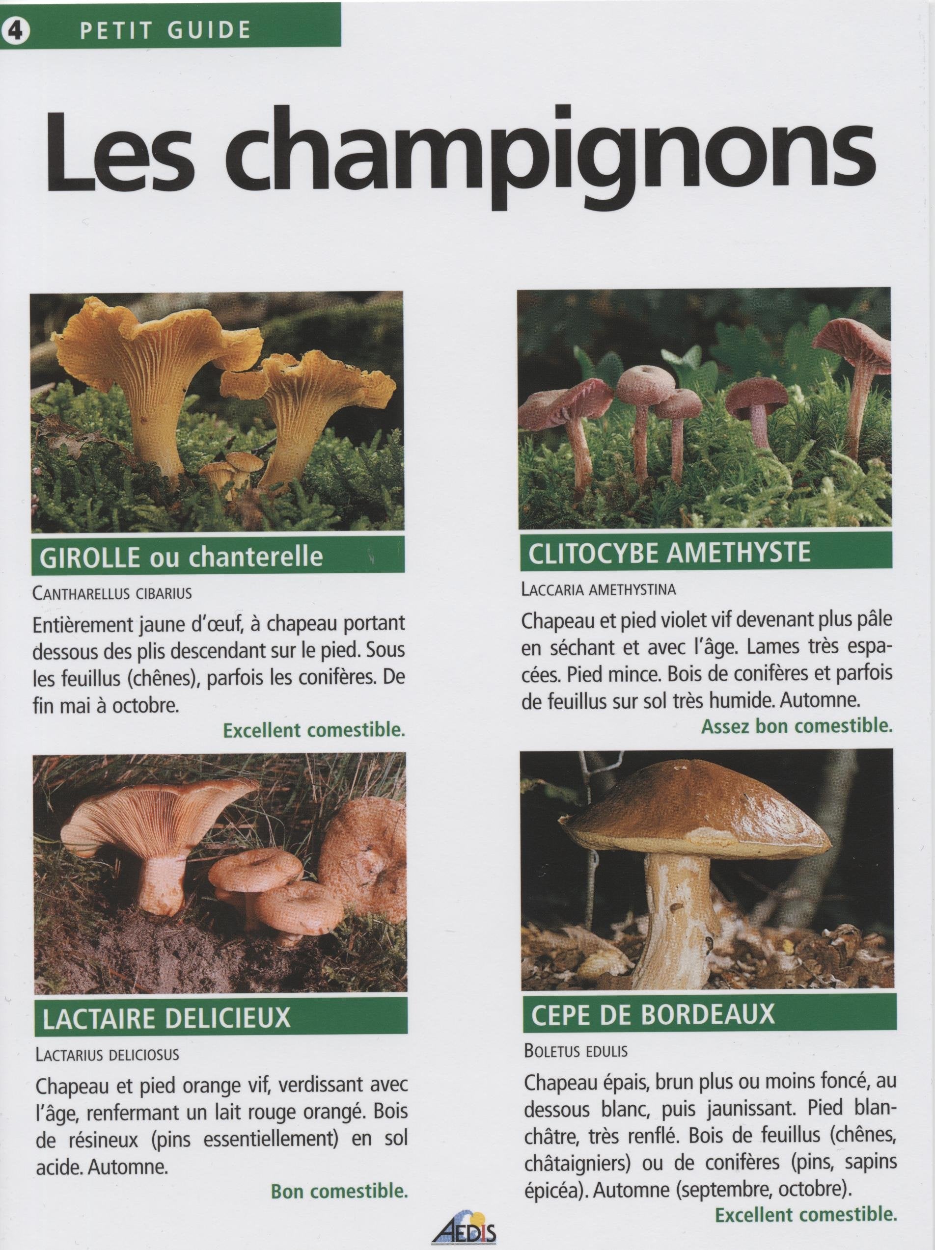 PG004 - Les champignons 9782842590116