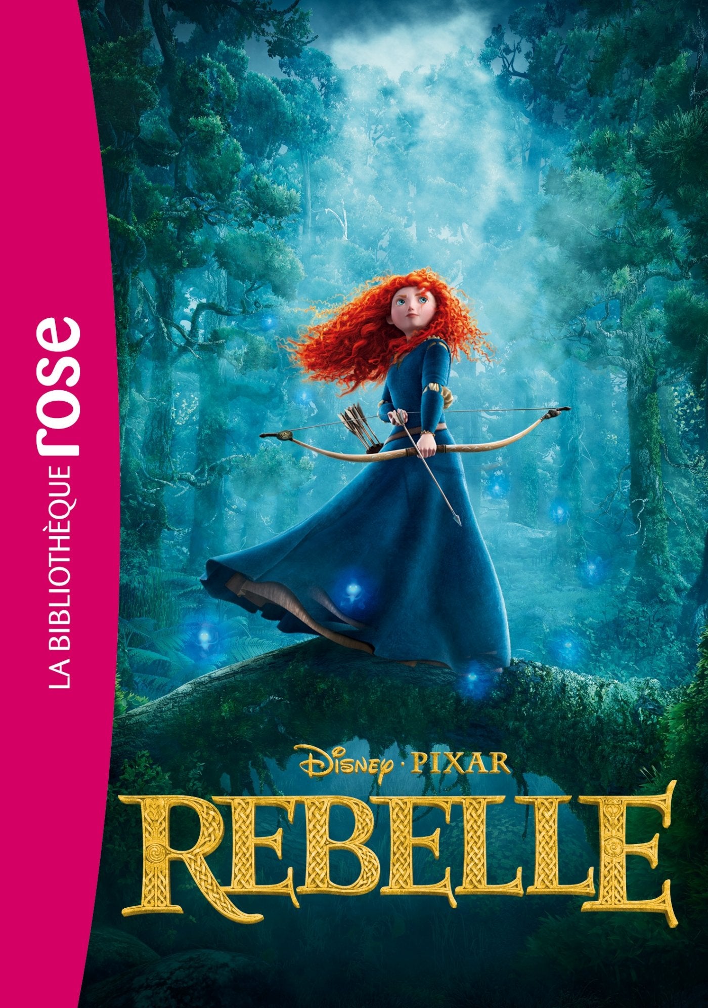 Rebelle - Le roman du film 9782012031265