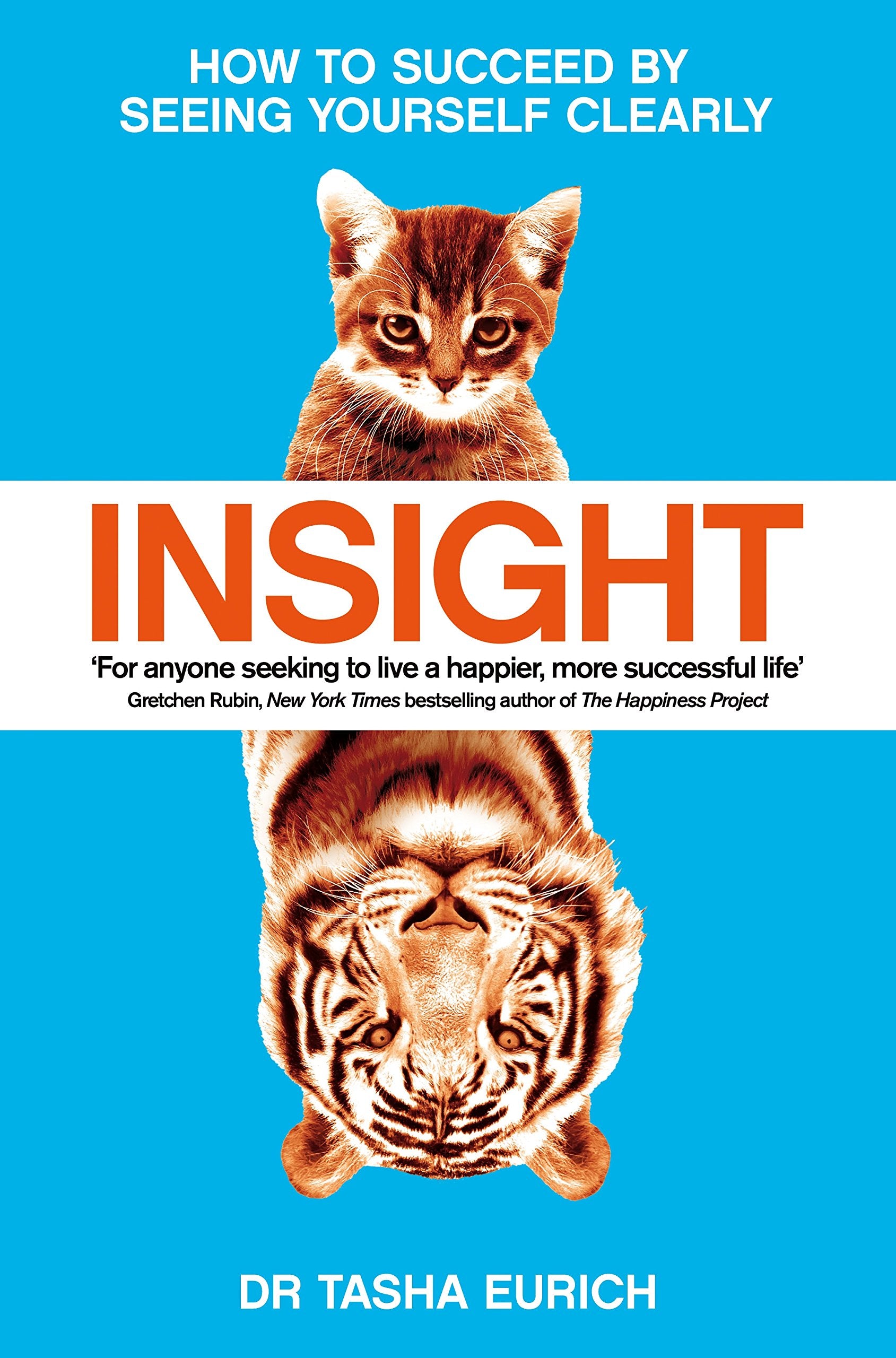Insight: How to succeed by seeing yourself clearly 9781509839643
