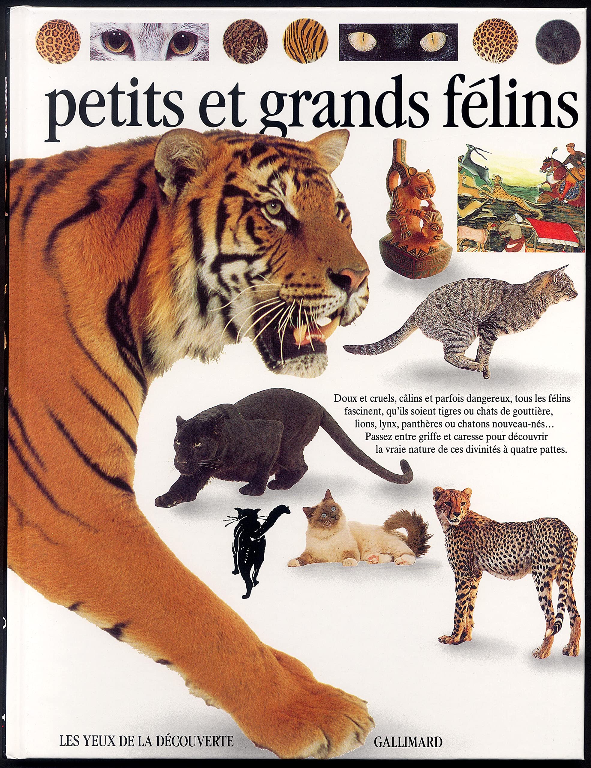 Petits et grands félins 9782070565849