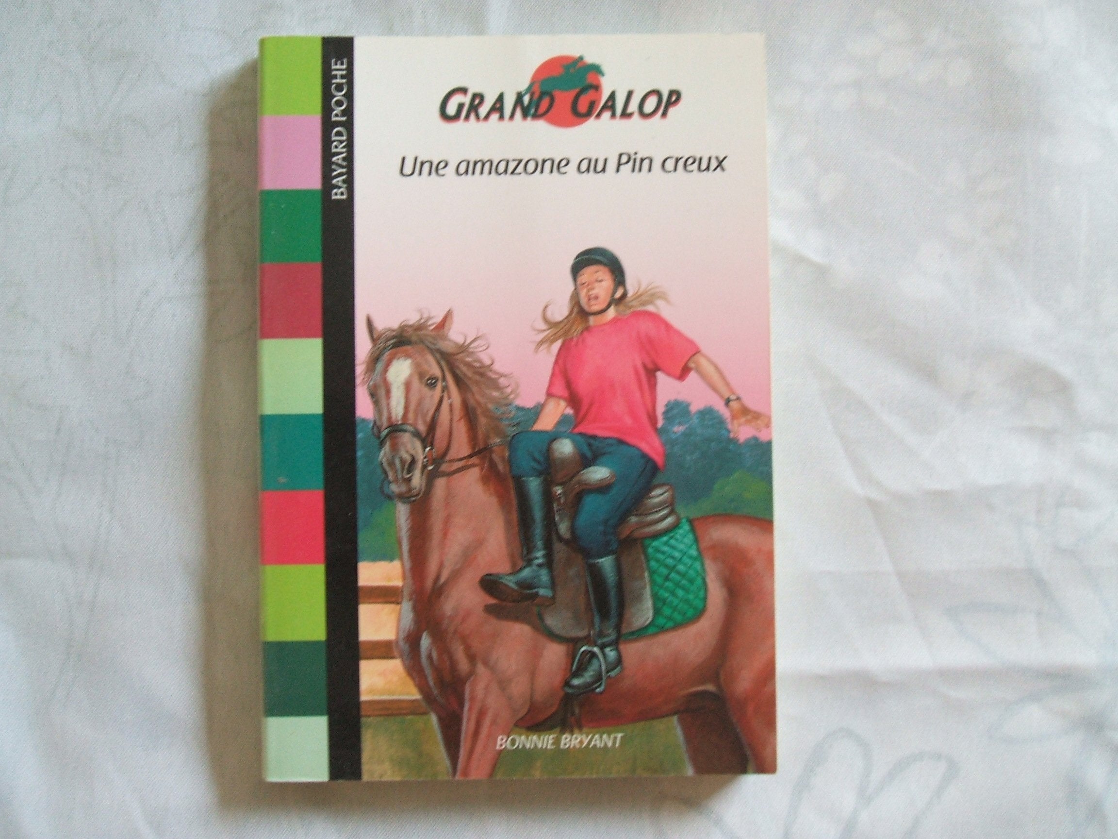 Une amazone au Pin creux 9782747012607