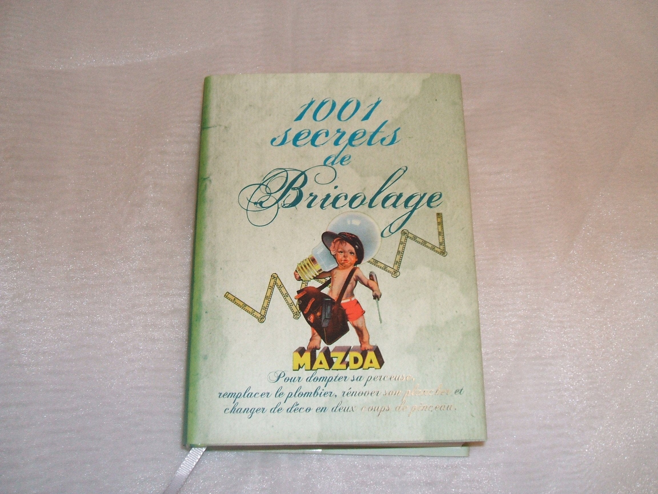 DENISE CROLLE-TERZAGHI//1001 SECRETS DE BRICOLAGE//LES ILLUSTRATIONS DE BRUCE EMMET//EDITIONS FRANCE LOISIRS//NOVEMBRE 2011 9782298049671