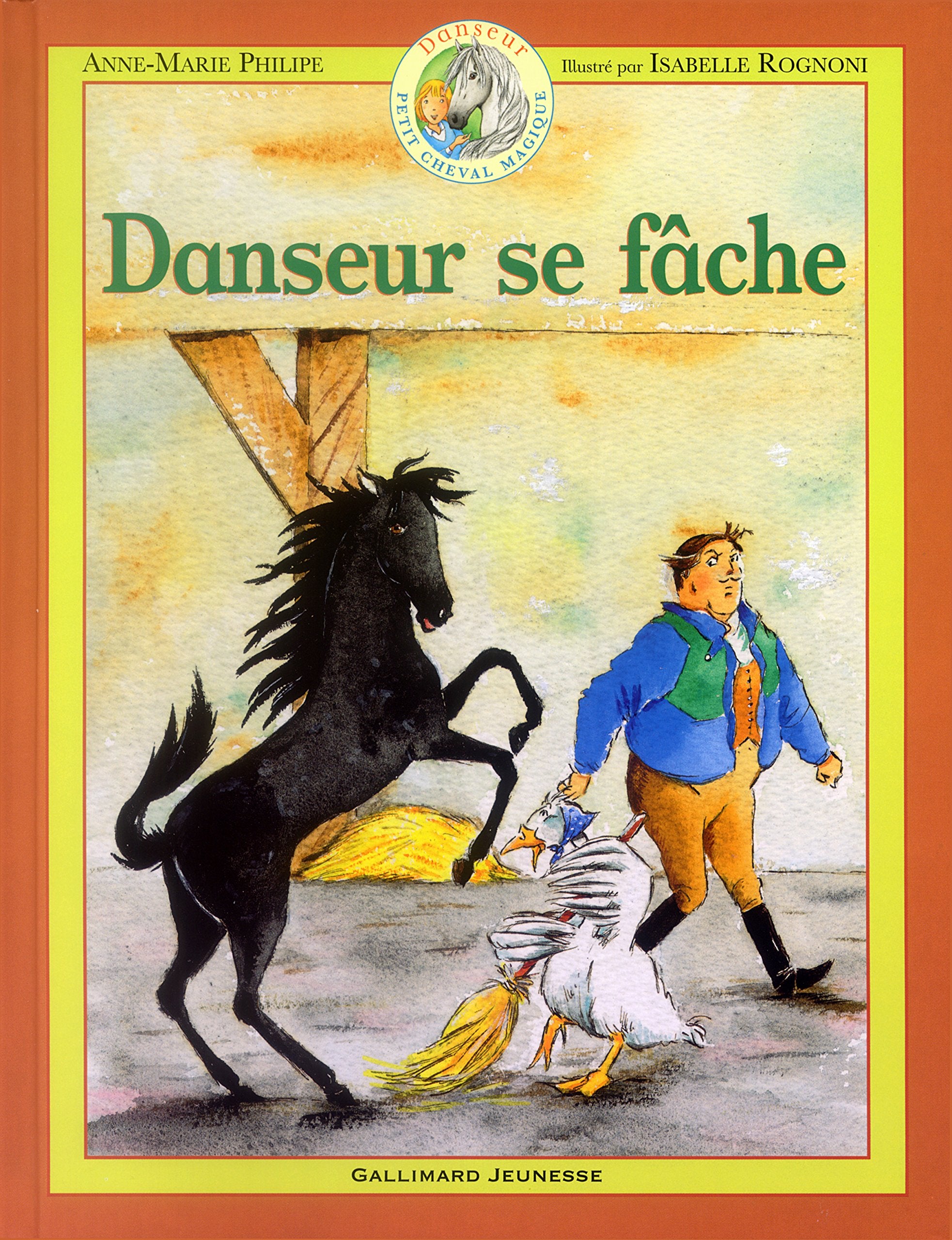 Danseur se fâche 9782070556151