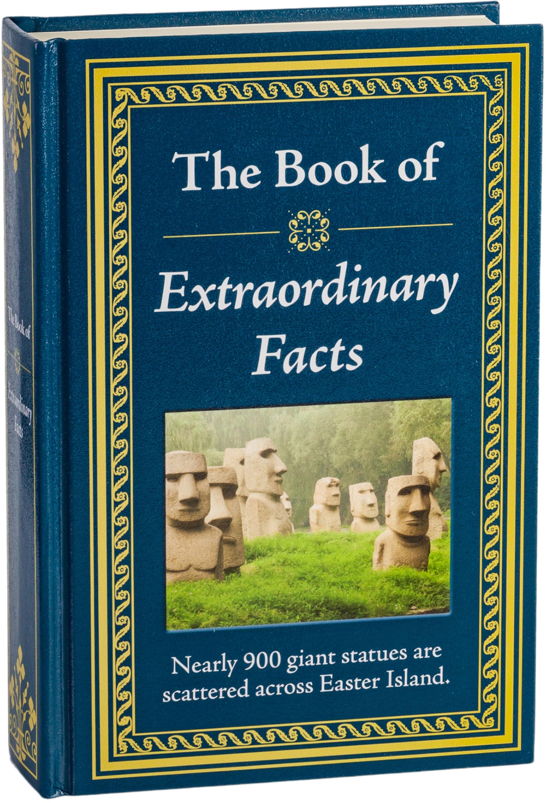 The Book of Extraordinary Facts 9781450853958
