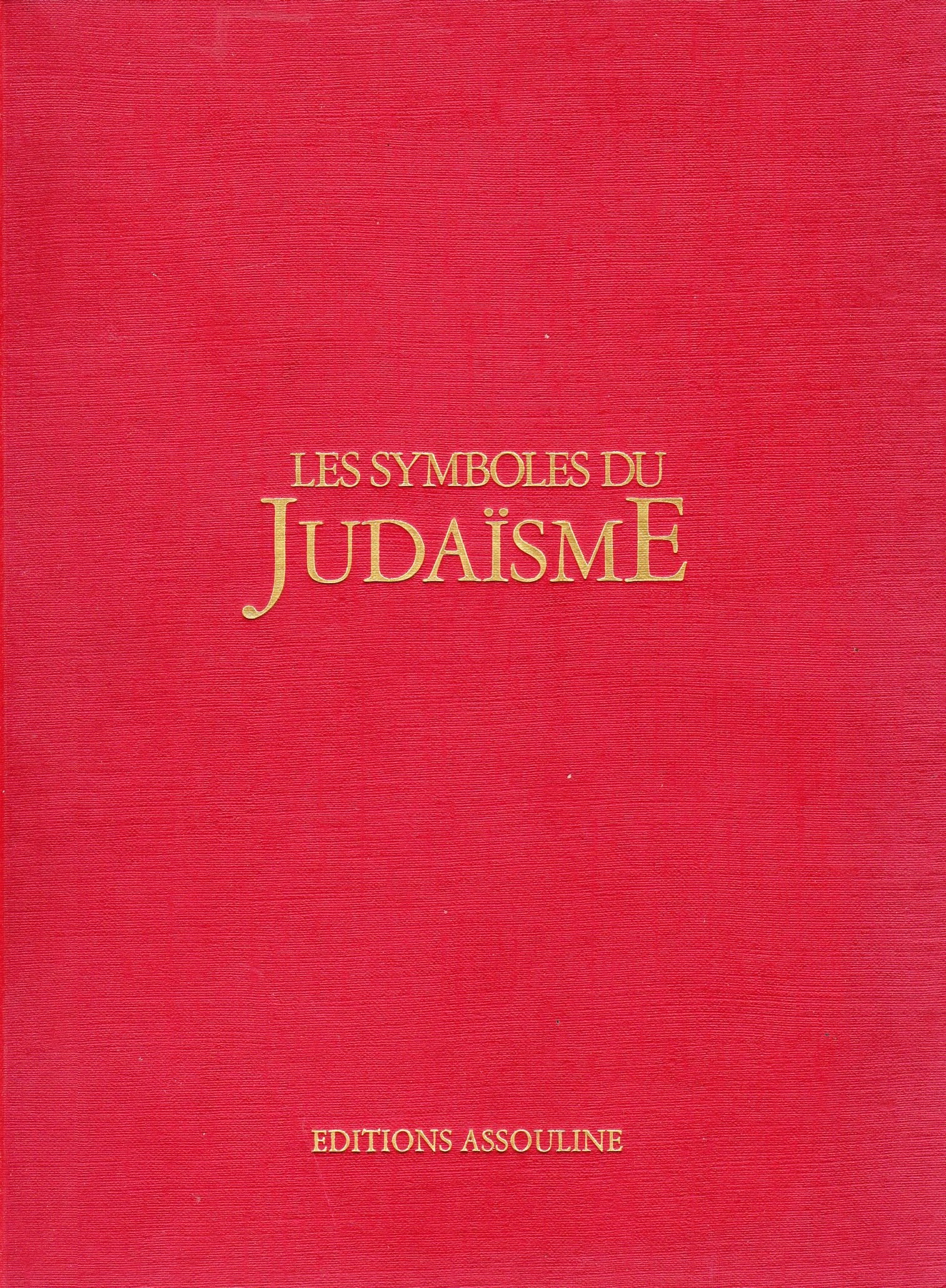 SYMBOLES DU JUDAISME 9782843231421