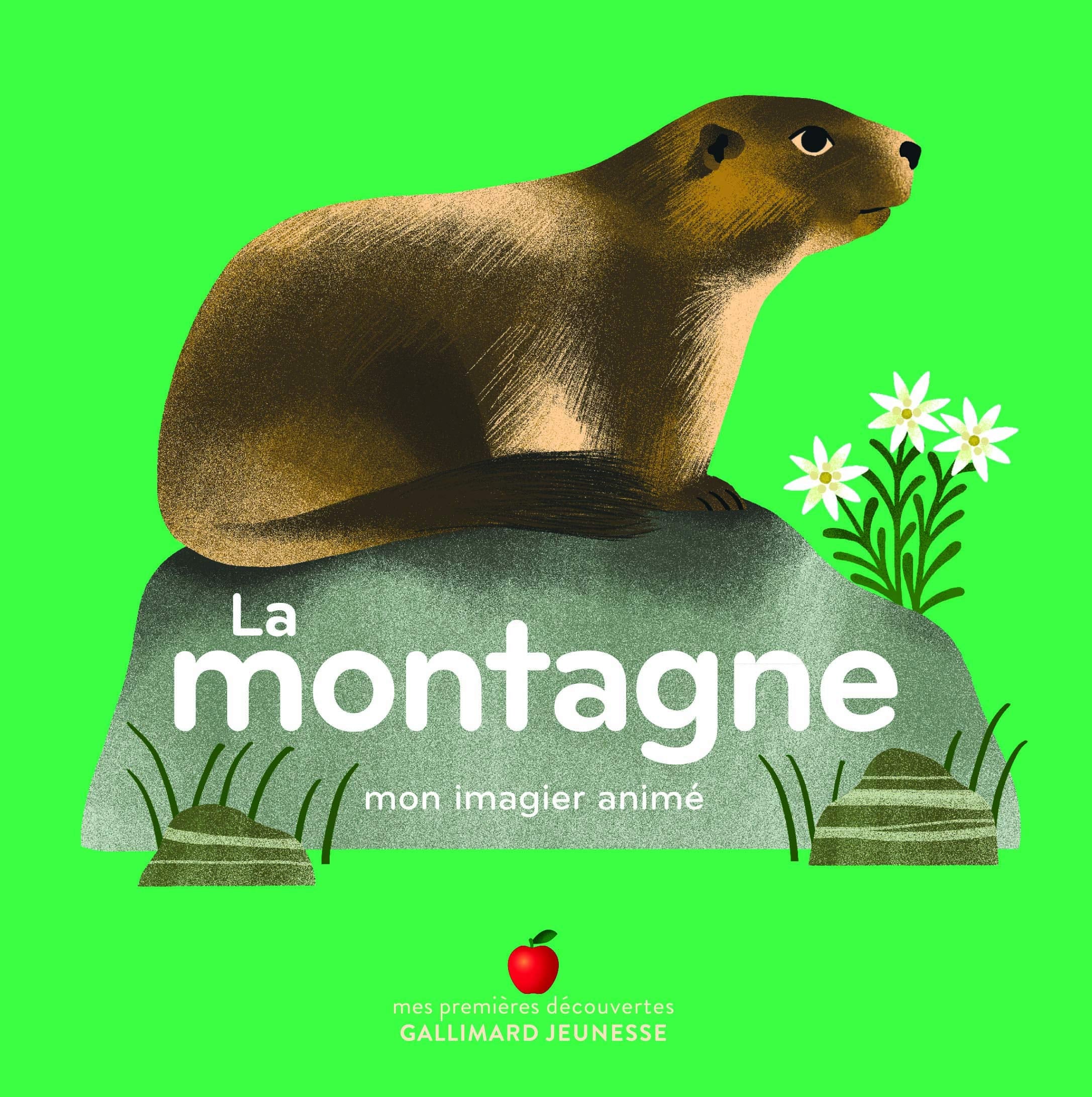 LA MONTAGNE 9782075126137