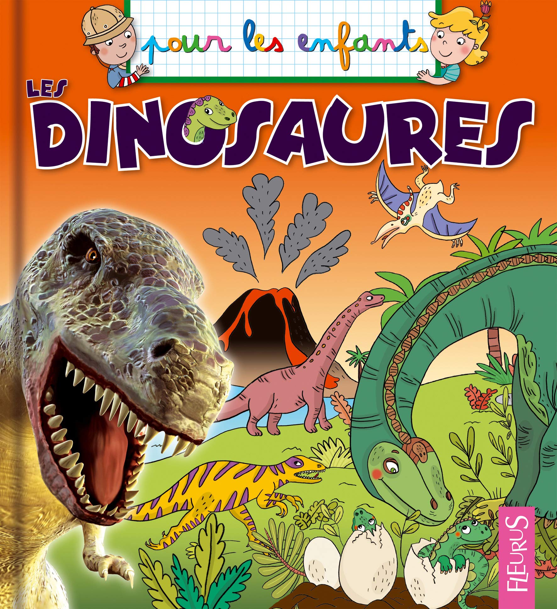 Les dinosaures 9782215145028