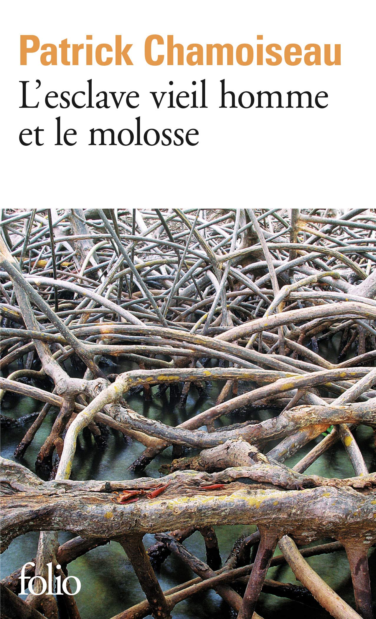 L'Esclave vieil homme et le molosse 9782070408733