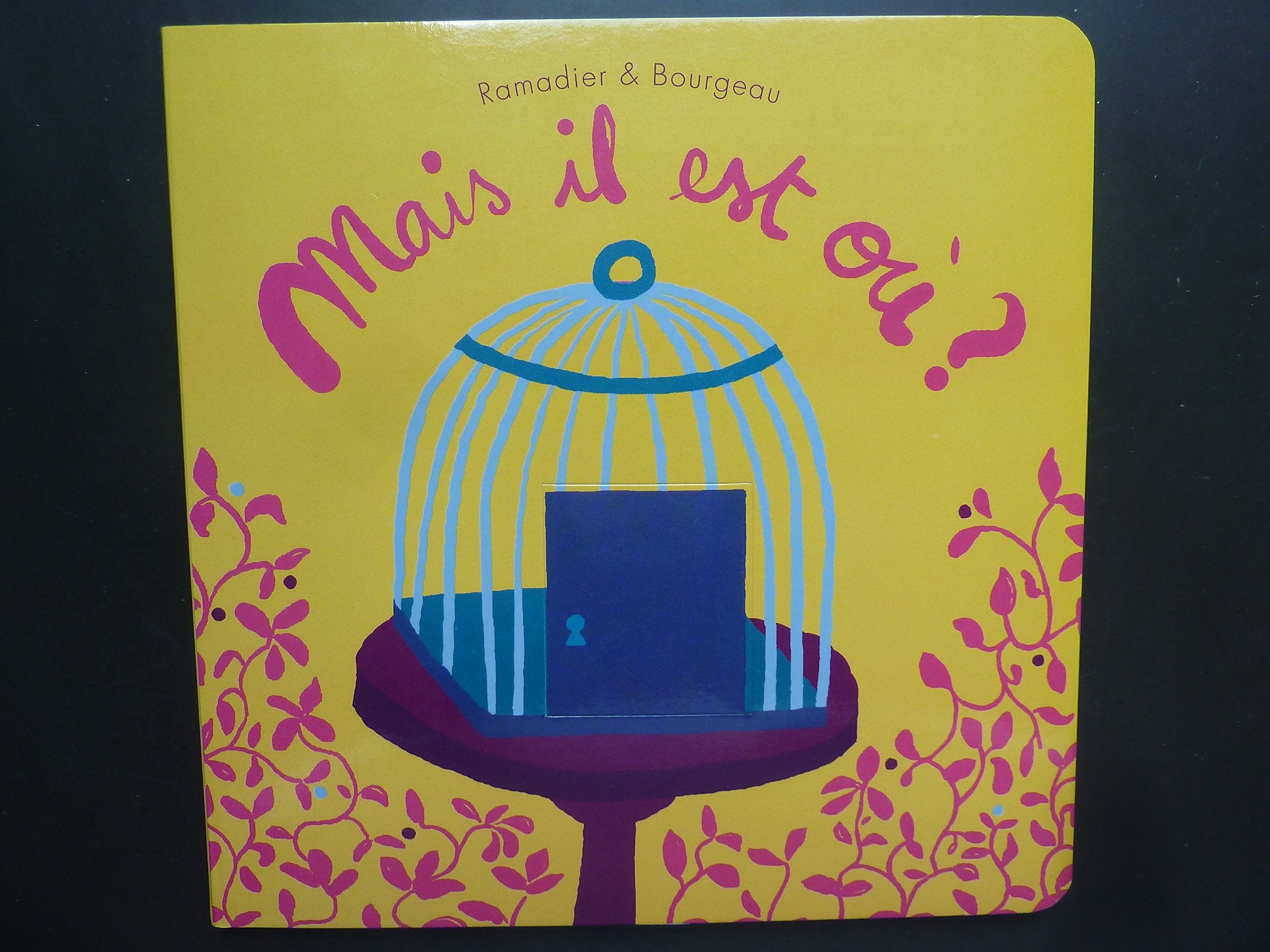 Mais il est où ? 9782211210348