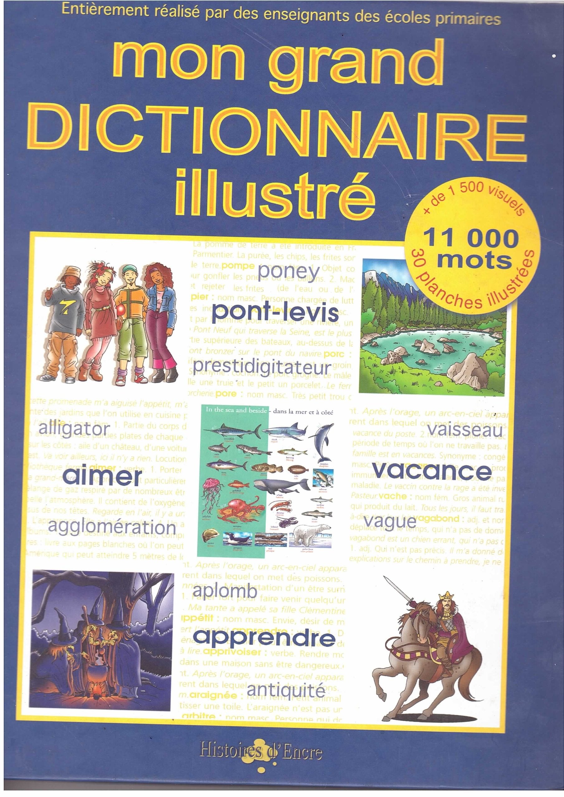 Mon grand dictionnaire illustré 9782844700131