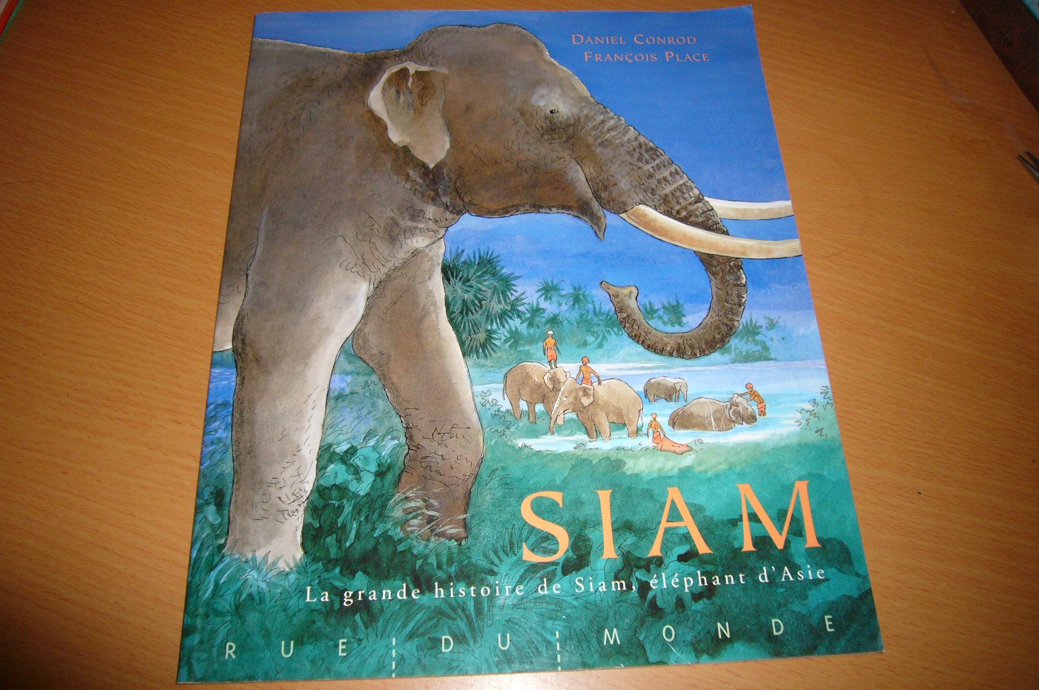 Siam, la grande histoire de siam, elephant d'asie 9782211089173