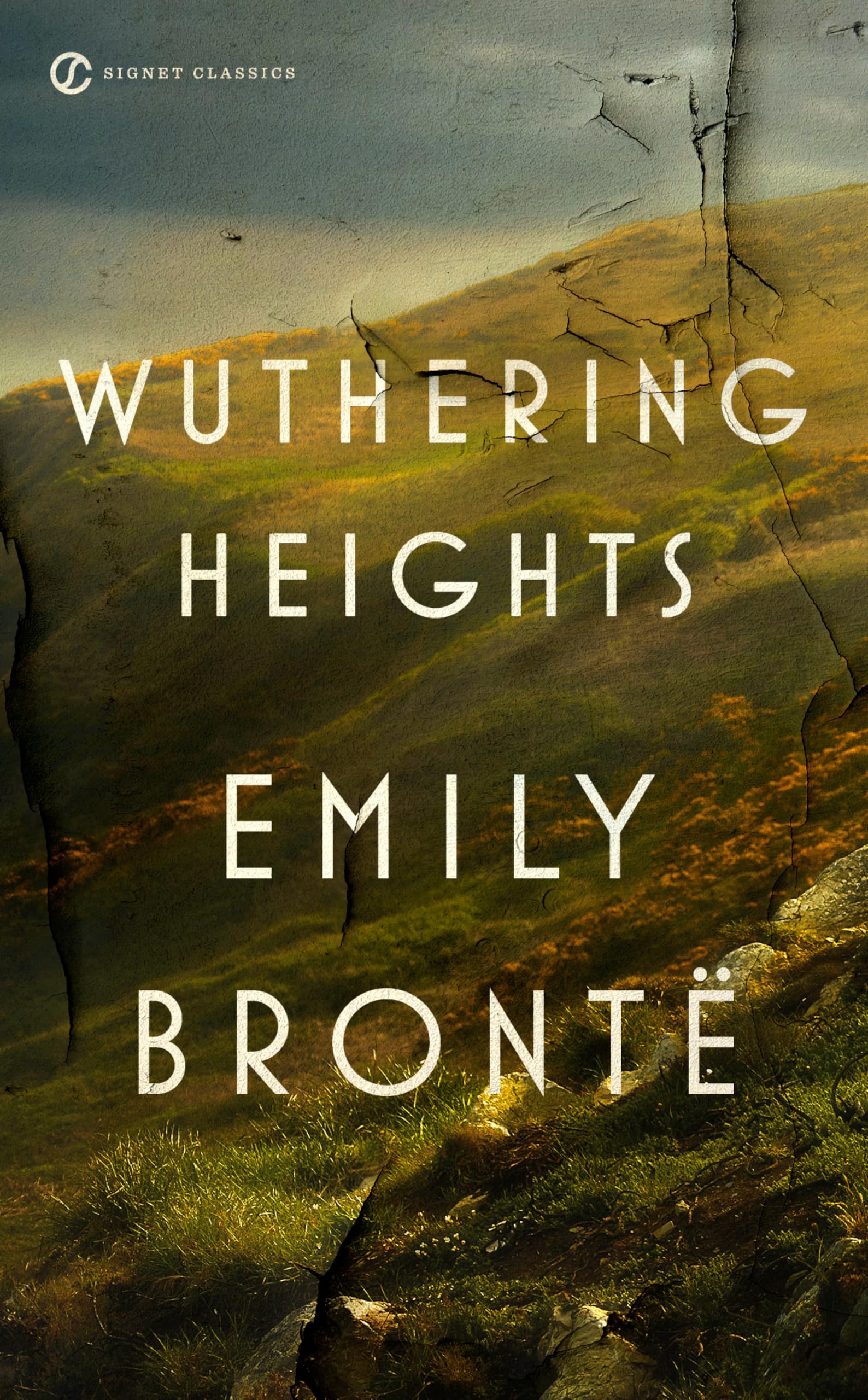 Wuthering Heights 9780451531797