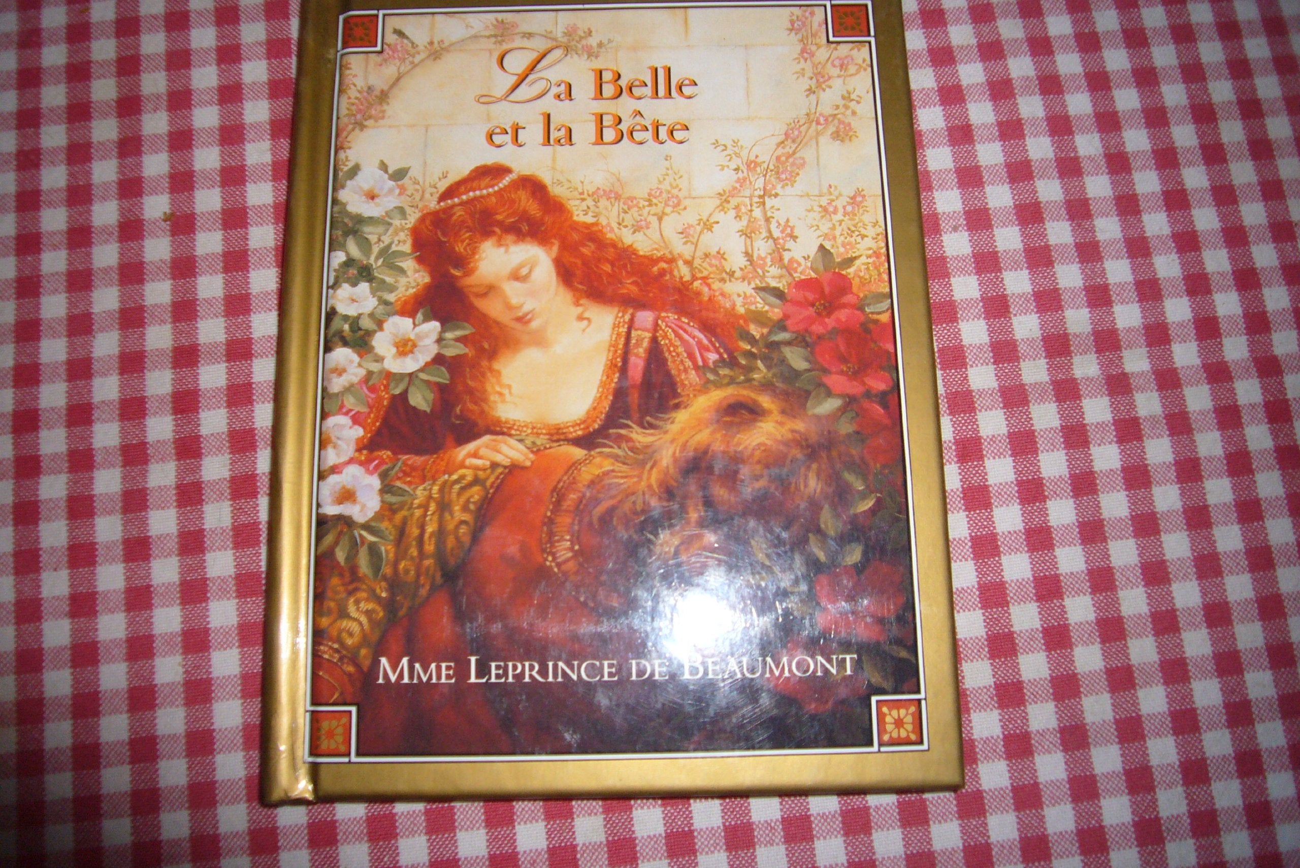 BELLE ET LA BETE (LA) 9782740402290