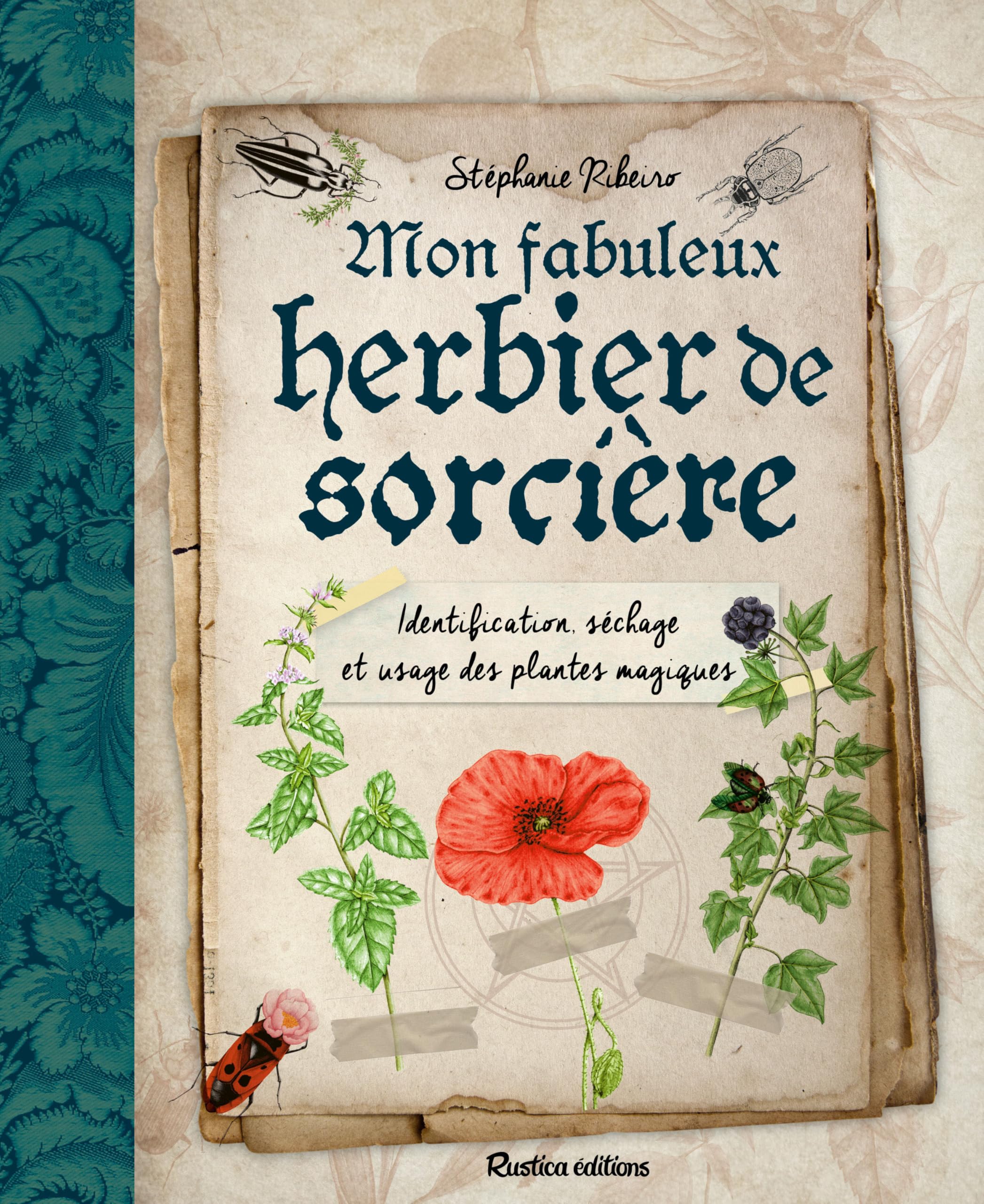 Mon fabuleux herbier de sorcière: Identification, séchage et usage des plantes magiques 9782815323895