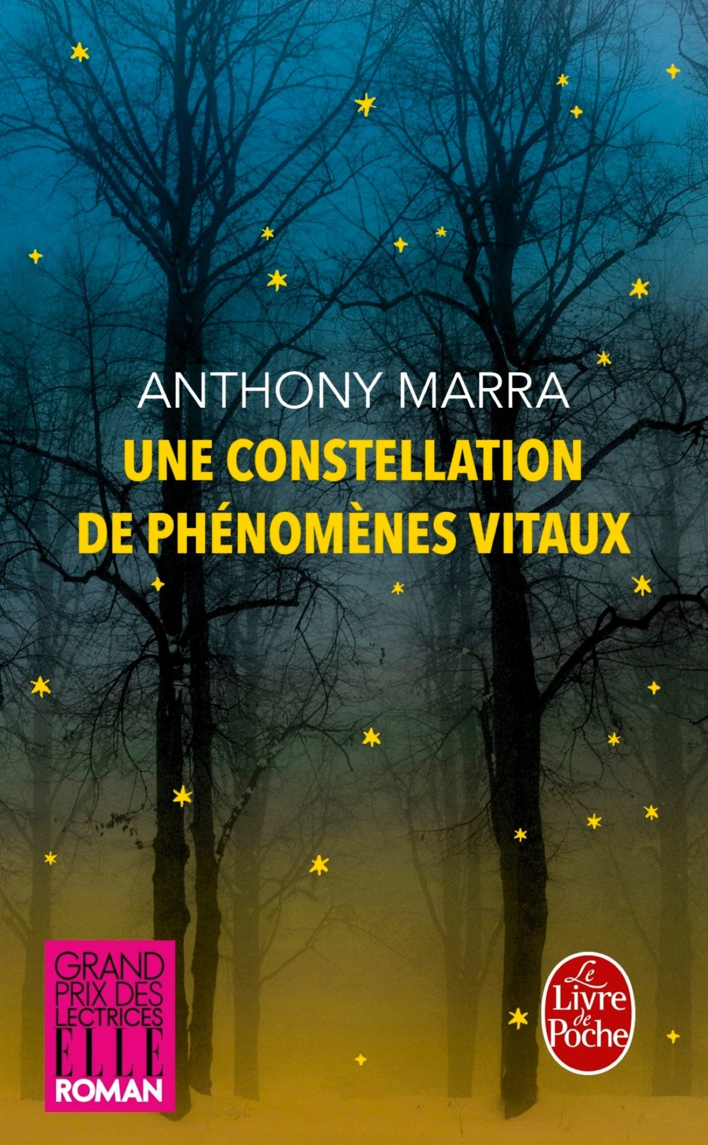 Une constellation de phénomènes vitaux 9782253066095