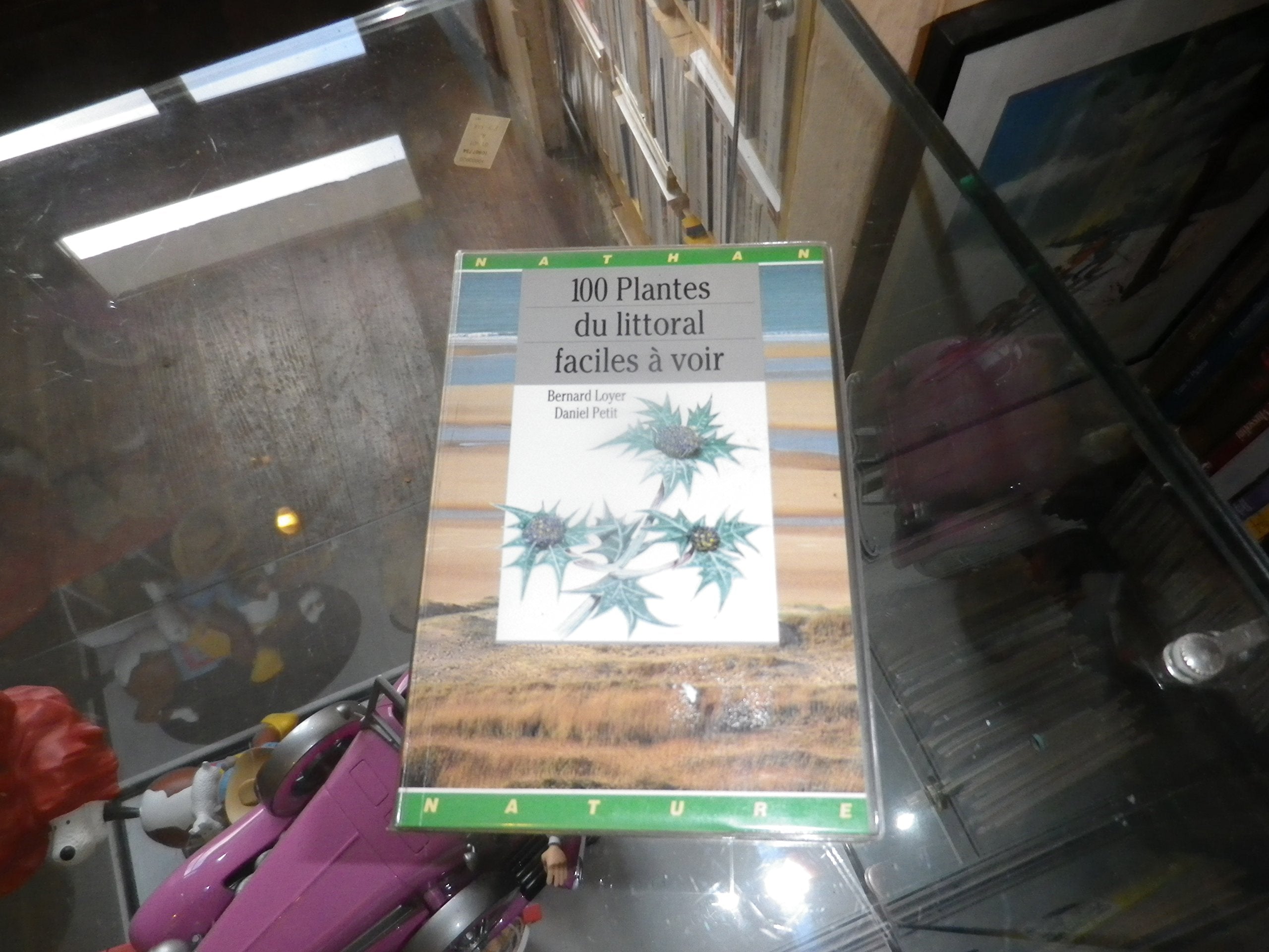 100 plantes du littoral faciles à voir 9782092784662