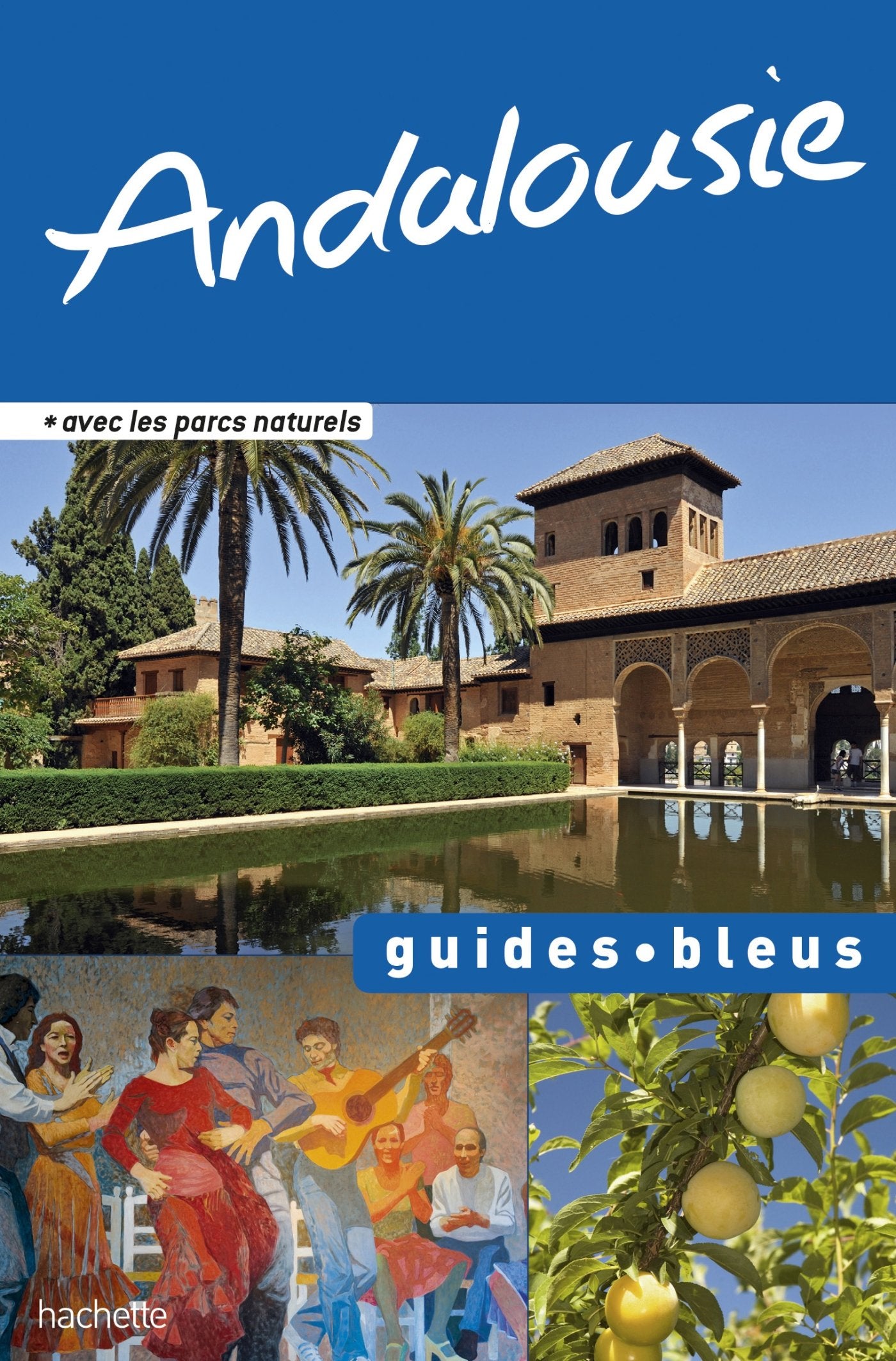 Andalousie 9782012451933