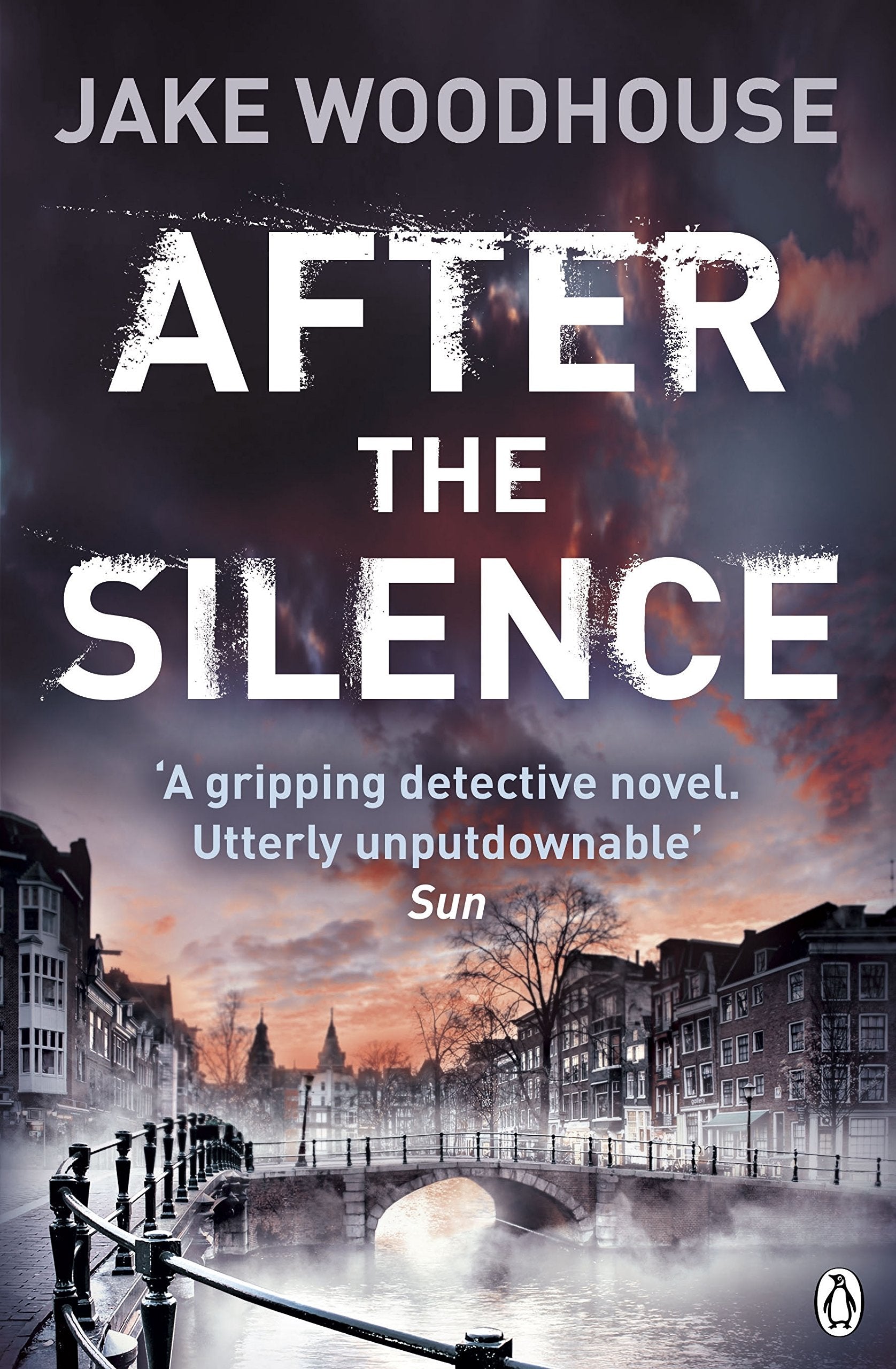 After the Silence: Inspector Rykel Book 1 9781405922357