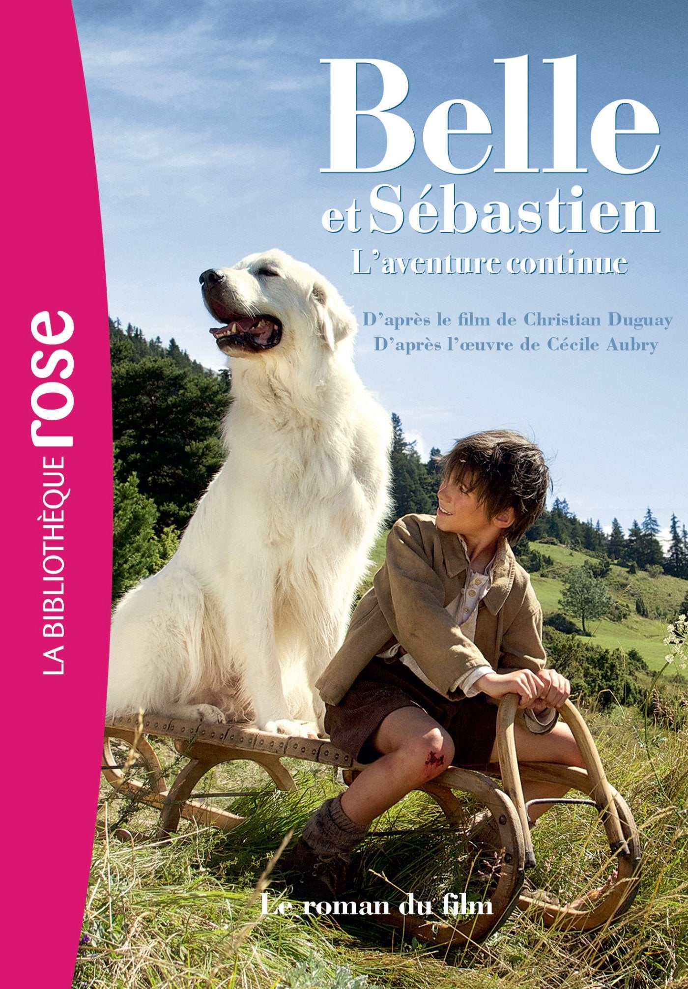 Belle et Sébastien 2 L'aventure continue - Le roman du film 9782012317376