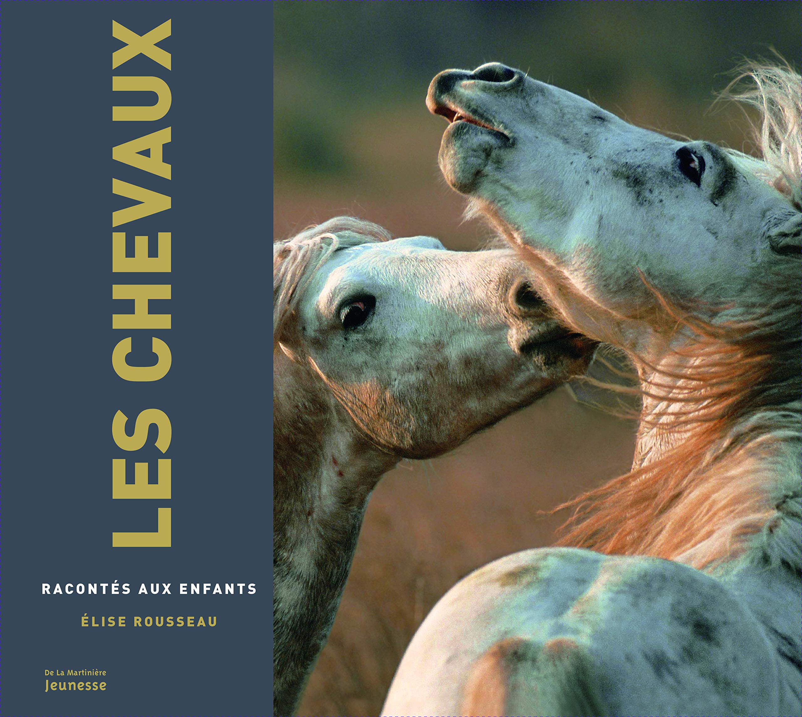 Les Chevaux racontés 9782732455389