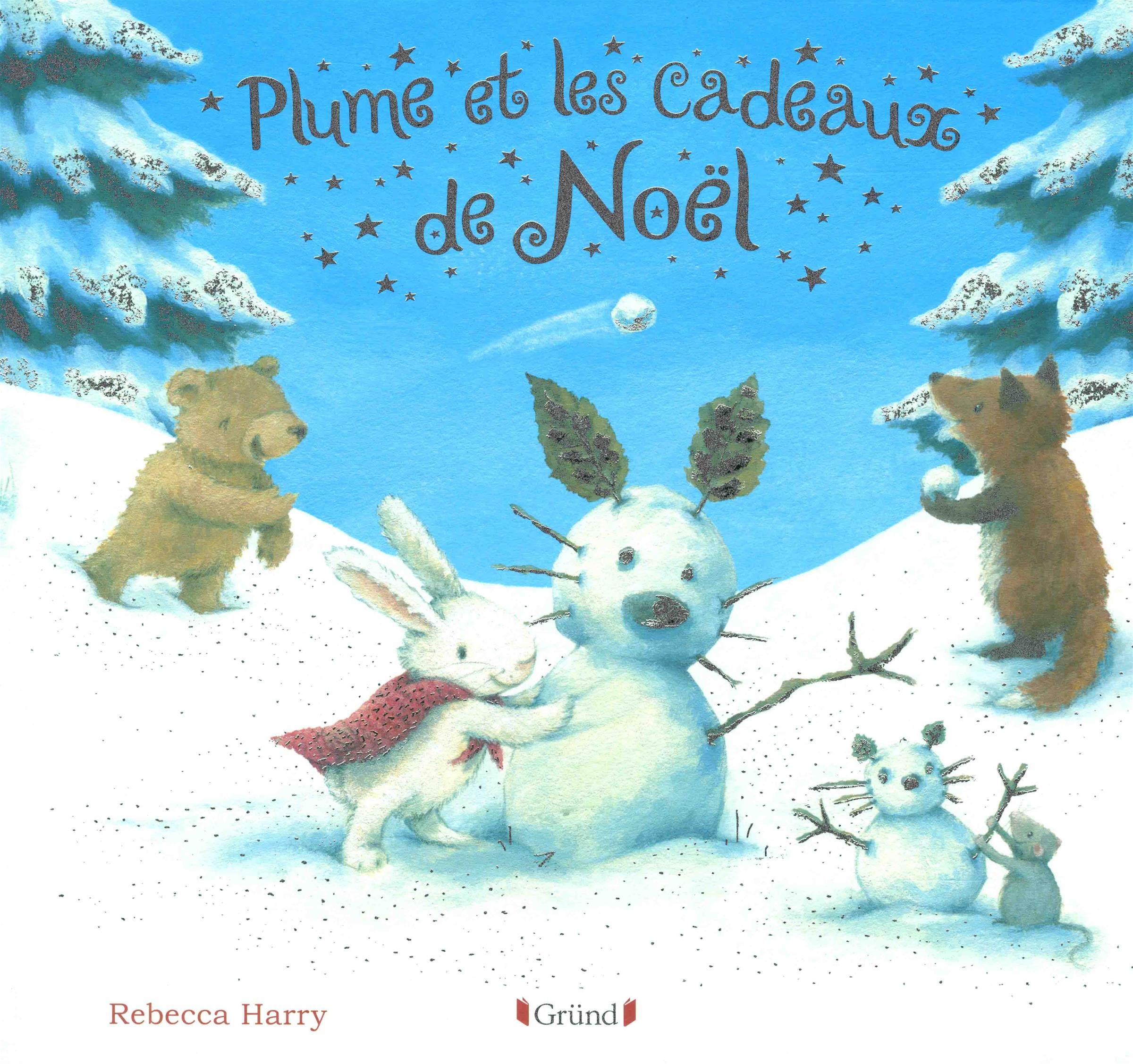 Plume et les cadeaux de Noël – Album jeunesse avec effet argenté – À partir de 3 ans 9782324022616