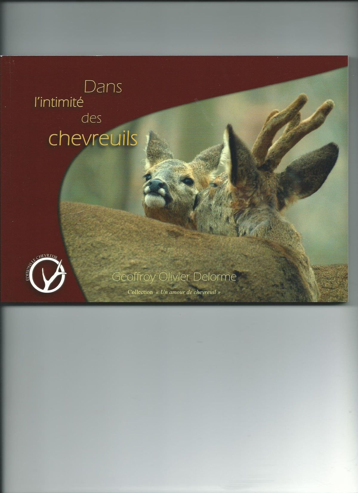 Dans l'intimité des chevreuils 9782953468809
