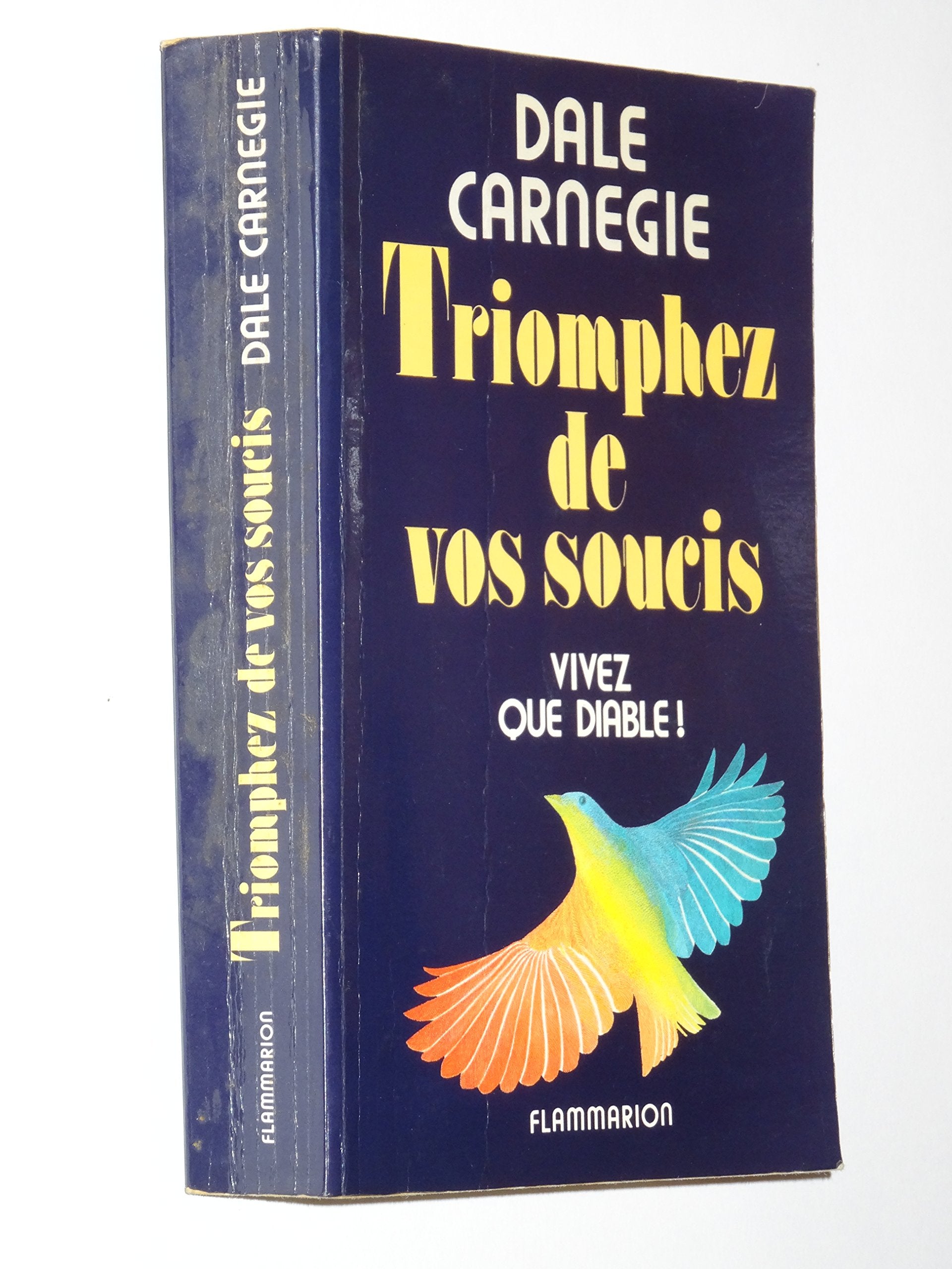 Triomphez de vos soucis : vivez que diable ! 9782080600073
