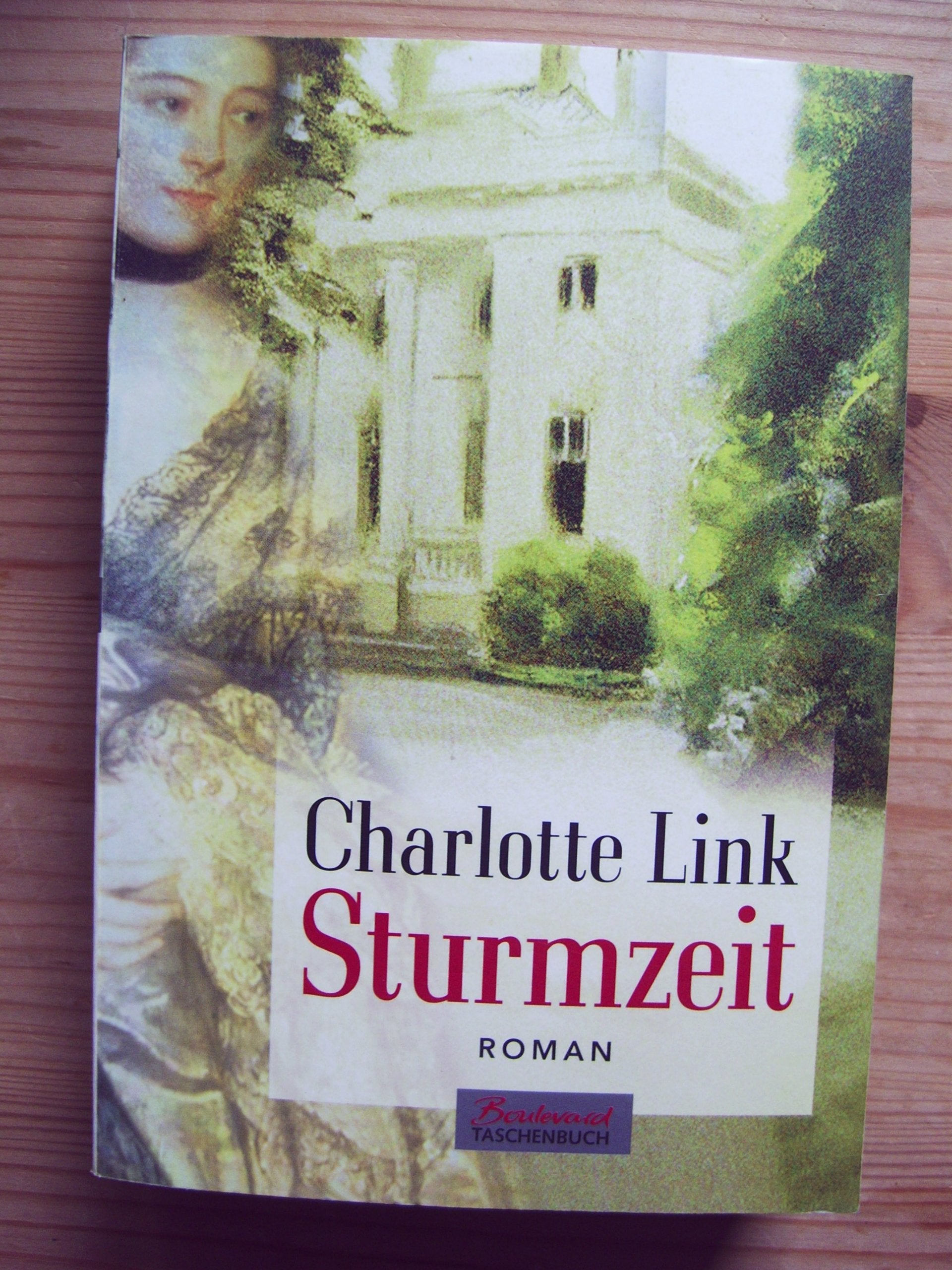 Sturmzeit 9783442456550