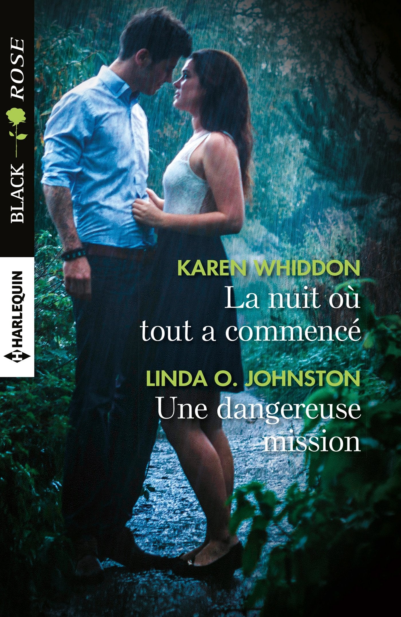 La nuit où tout a commencé - Une dangereuse mission 9782280345835