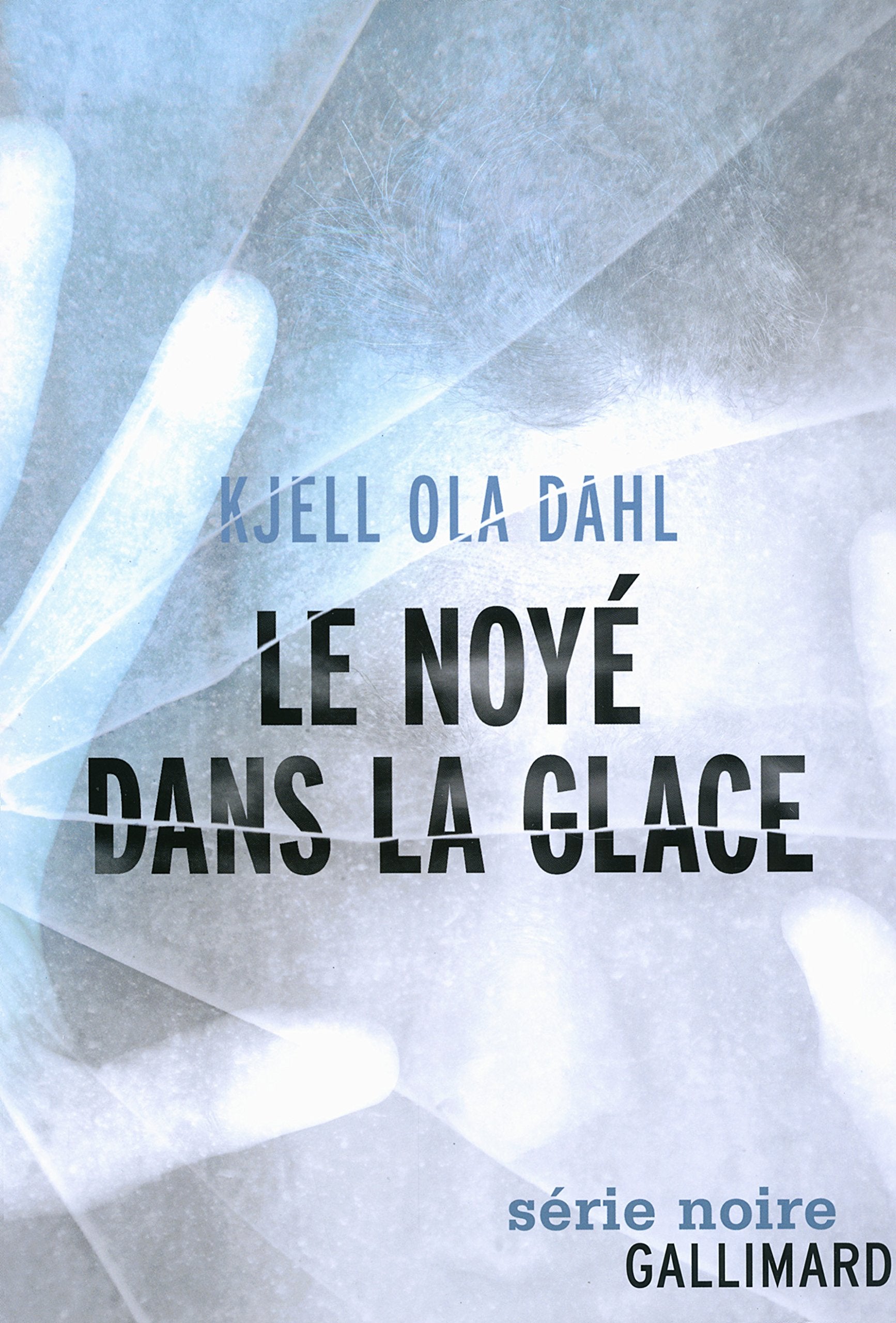 Le noyé dans la glace 9782070138814