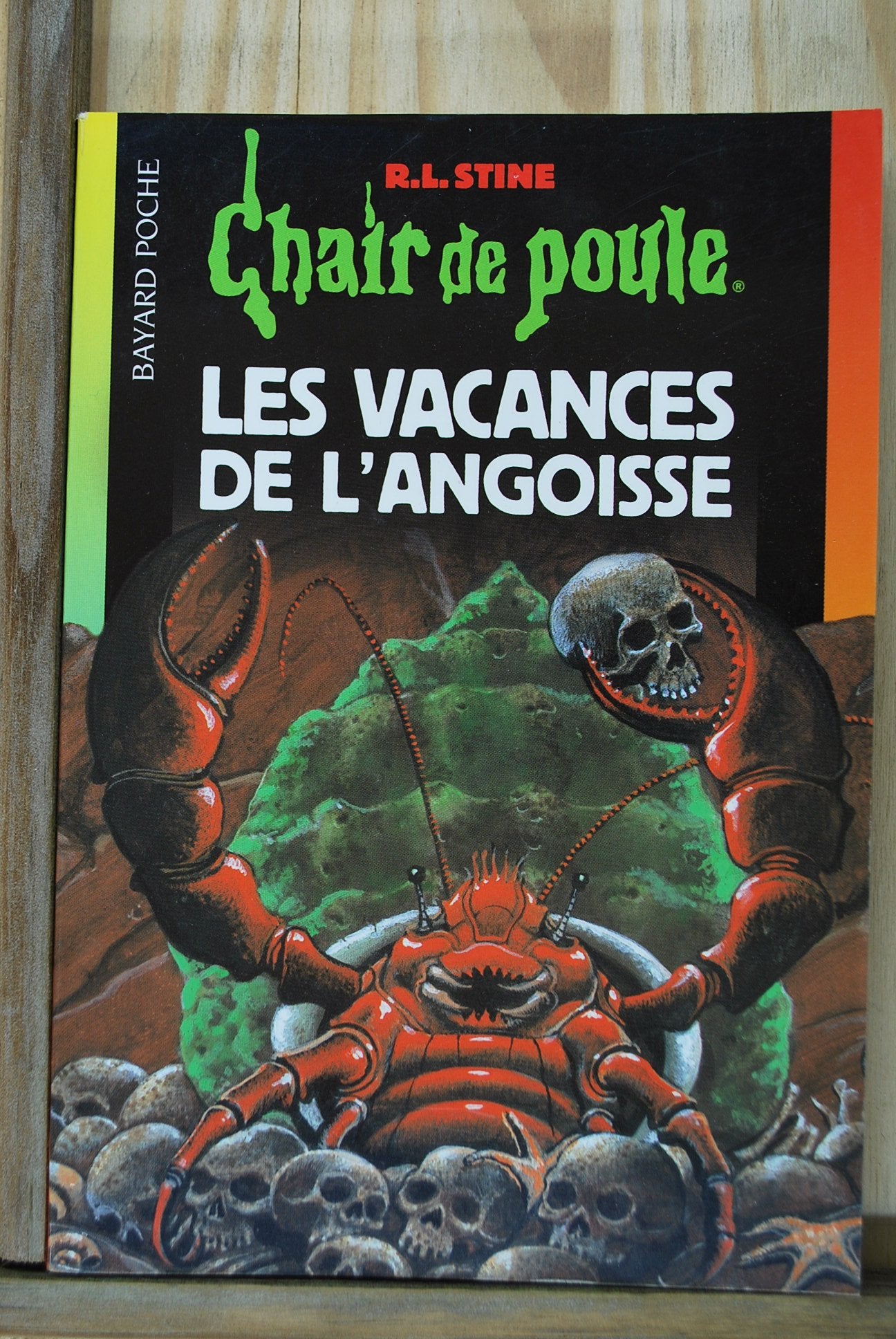 Chair de poule, numéro 72 : Les Vacances de l'angoisse 9782747004169