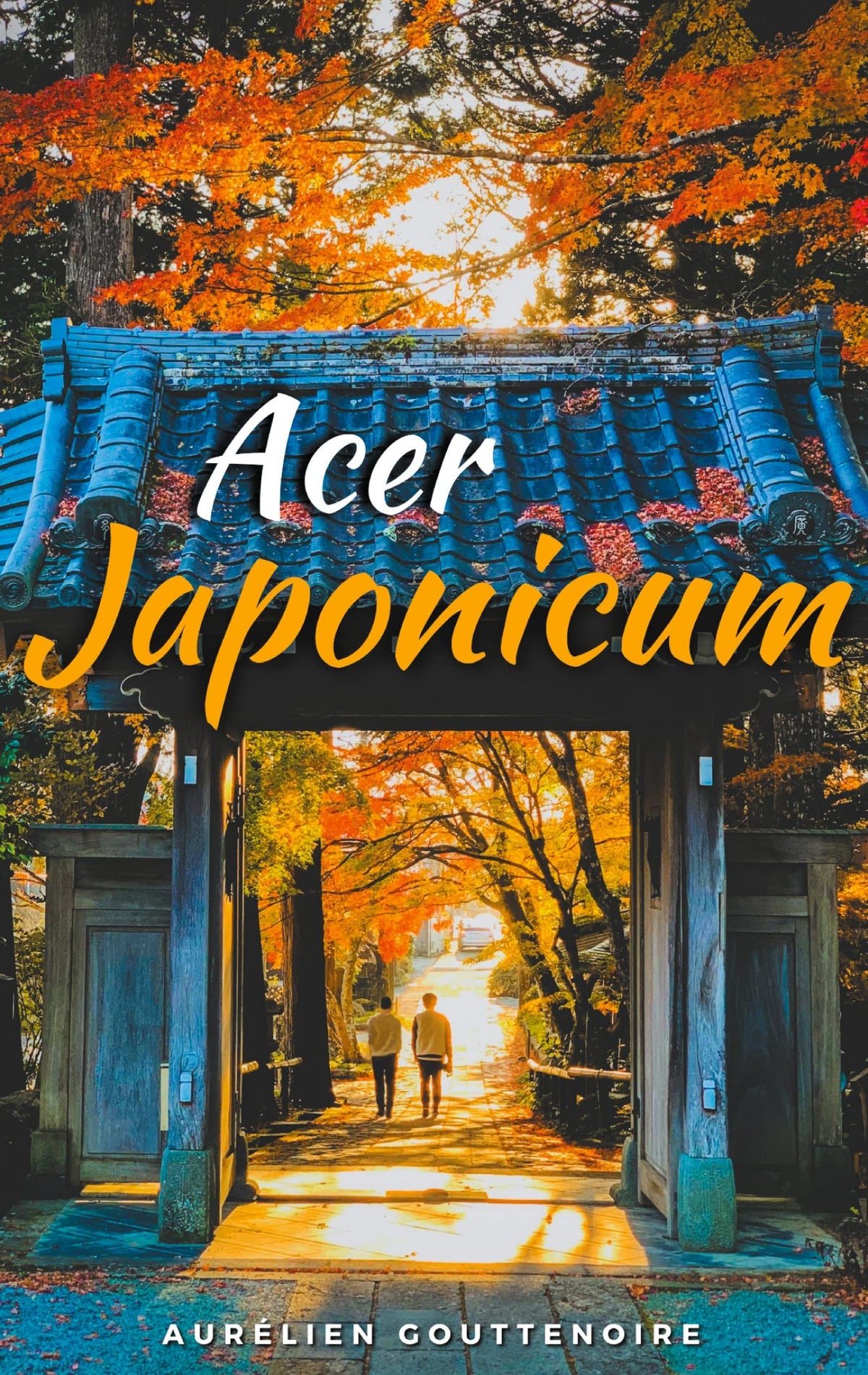 Acer japonicum 9782322396931