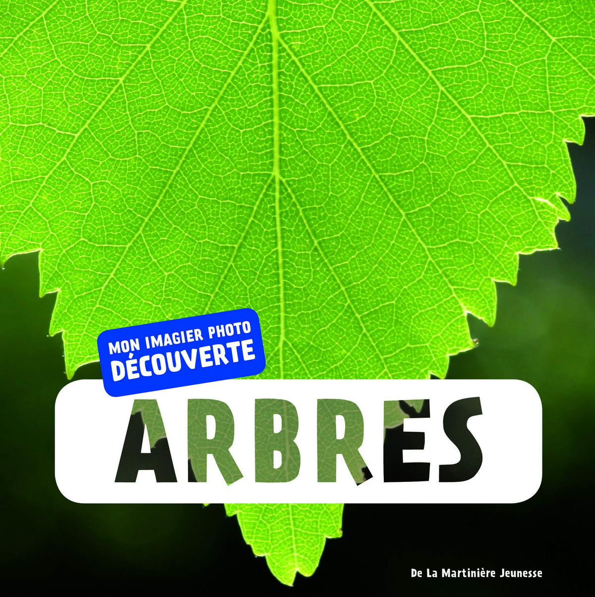 Arbres 9782732453507