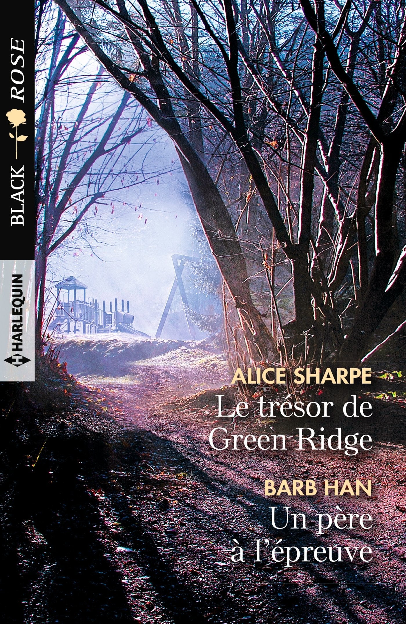 Le trésor de Green Ridge - Un père à l'épreuve 9782280370158