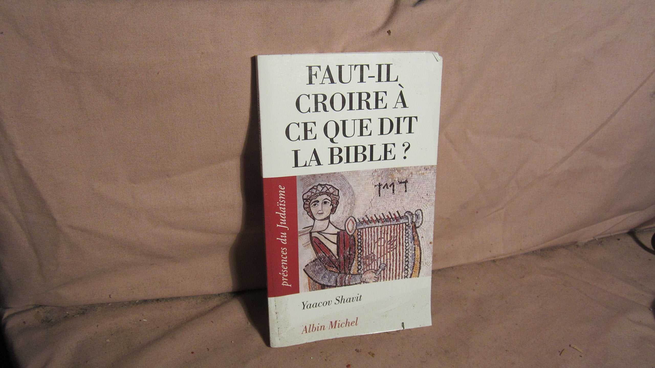 Faut-il croire à ce que dit la Bible ? 9782226191144